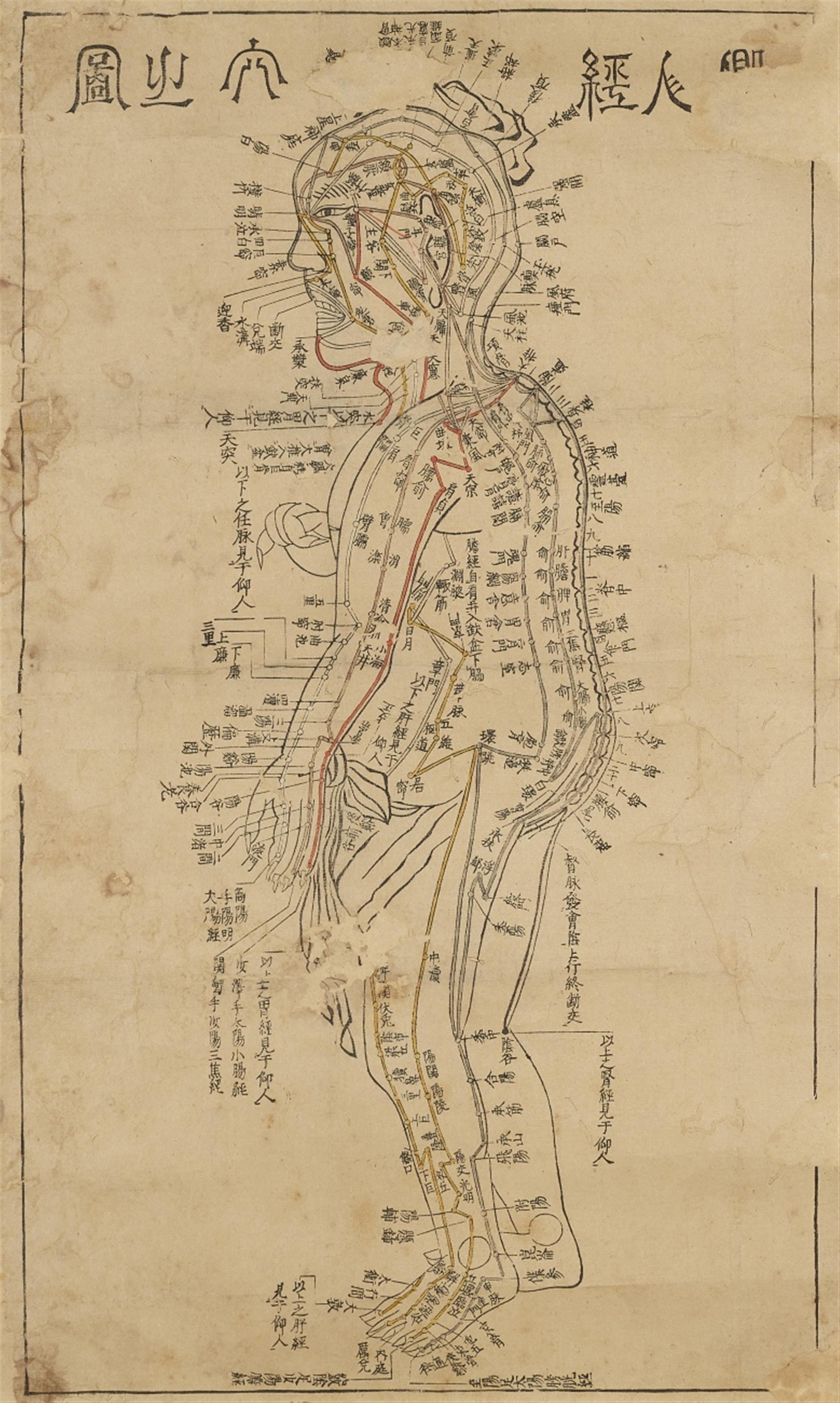 Anonymous painter . 19th/20th century - Three medical acupuncture diagrams with depicitions of the human body and its organs with all acupuncture points, meridians and channels. Ink and a few colours on paper. Wooden ... - image-2