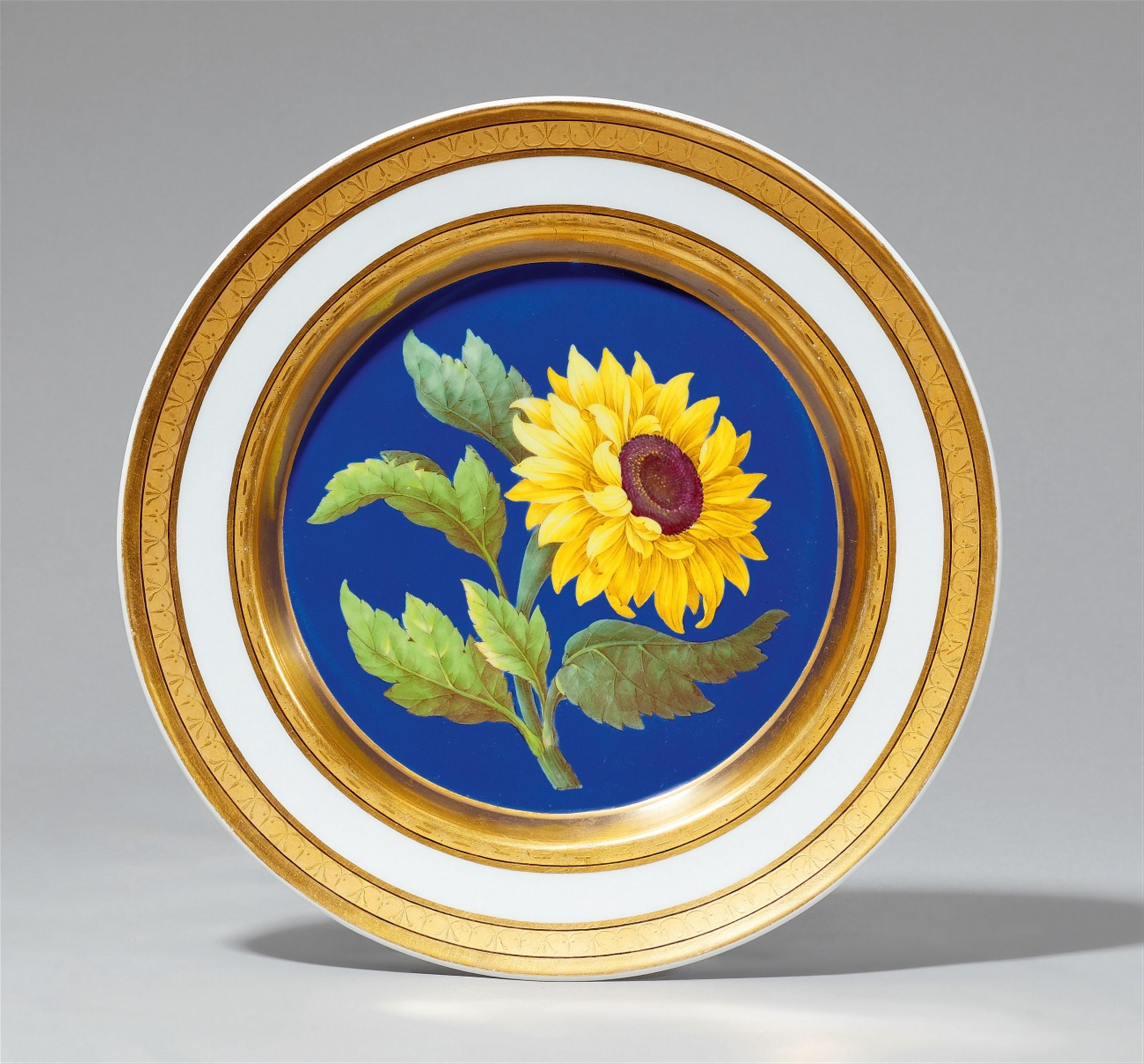 A Berlin KPM porcelain botanical plate with a sunflower - image-1