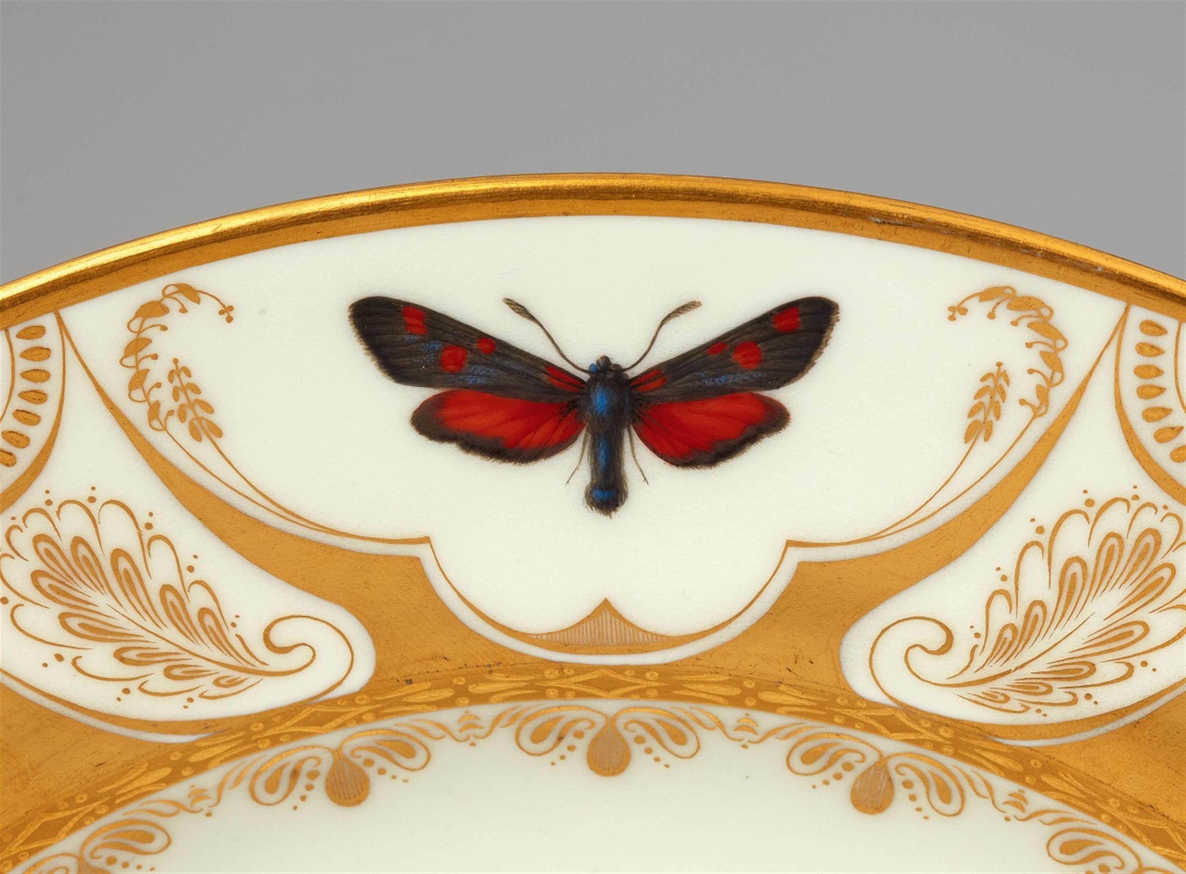 A Vienna porcelain plate with butterflies - image-4