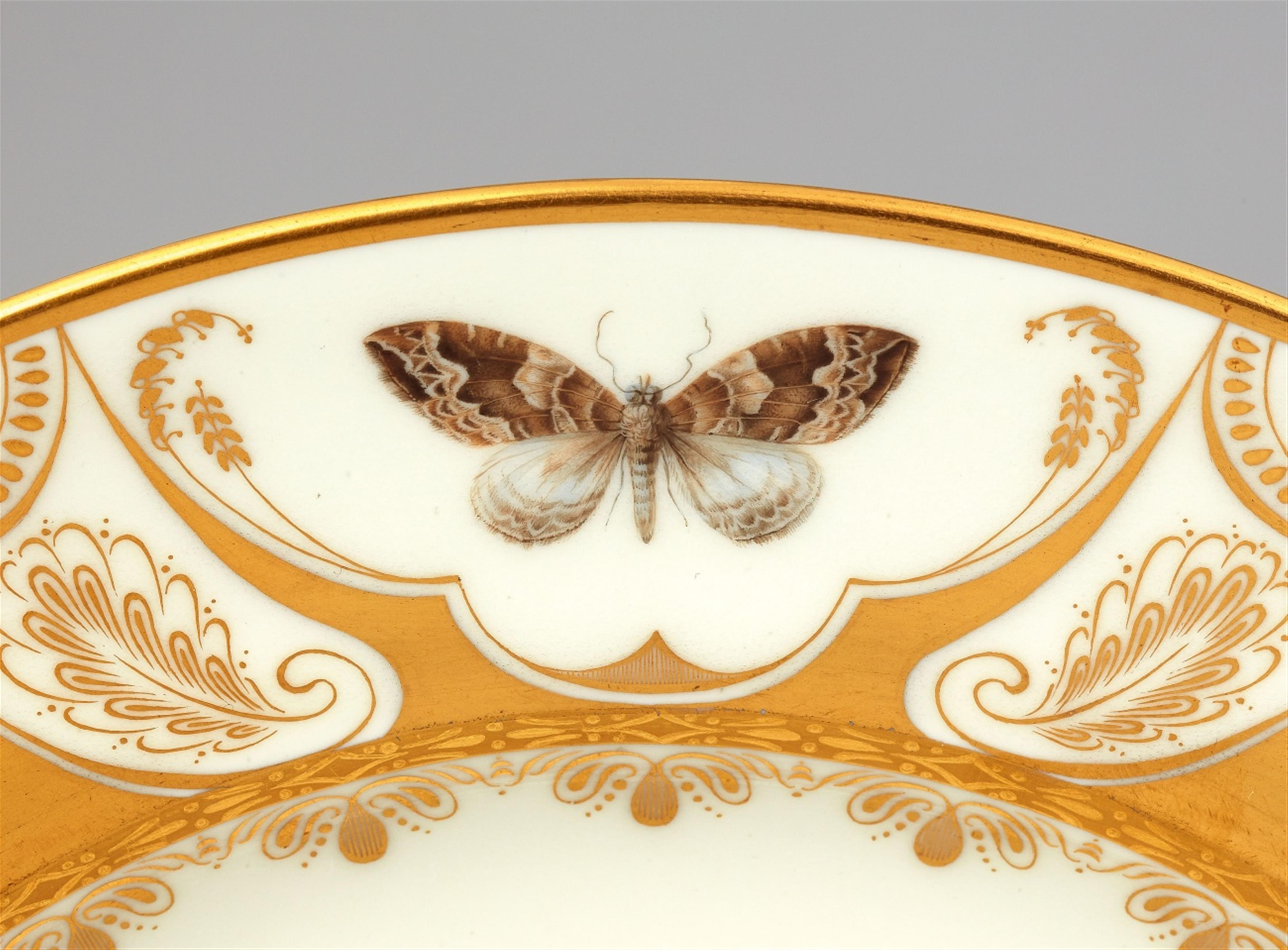 A Vienna porcelain plate with butterflies - image-5