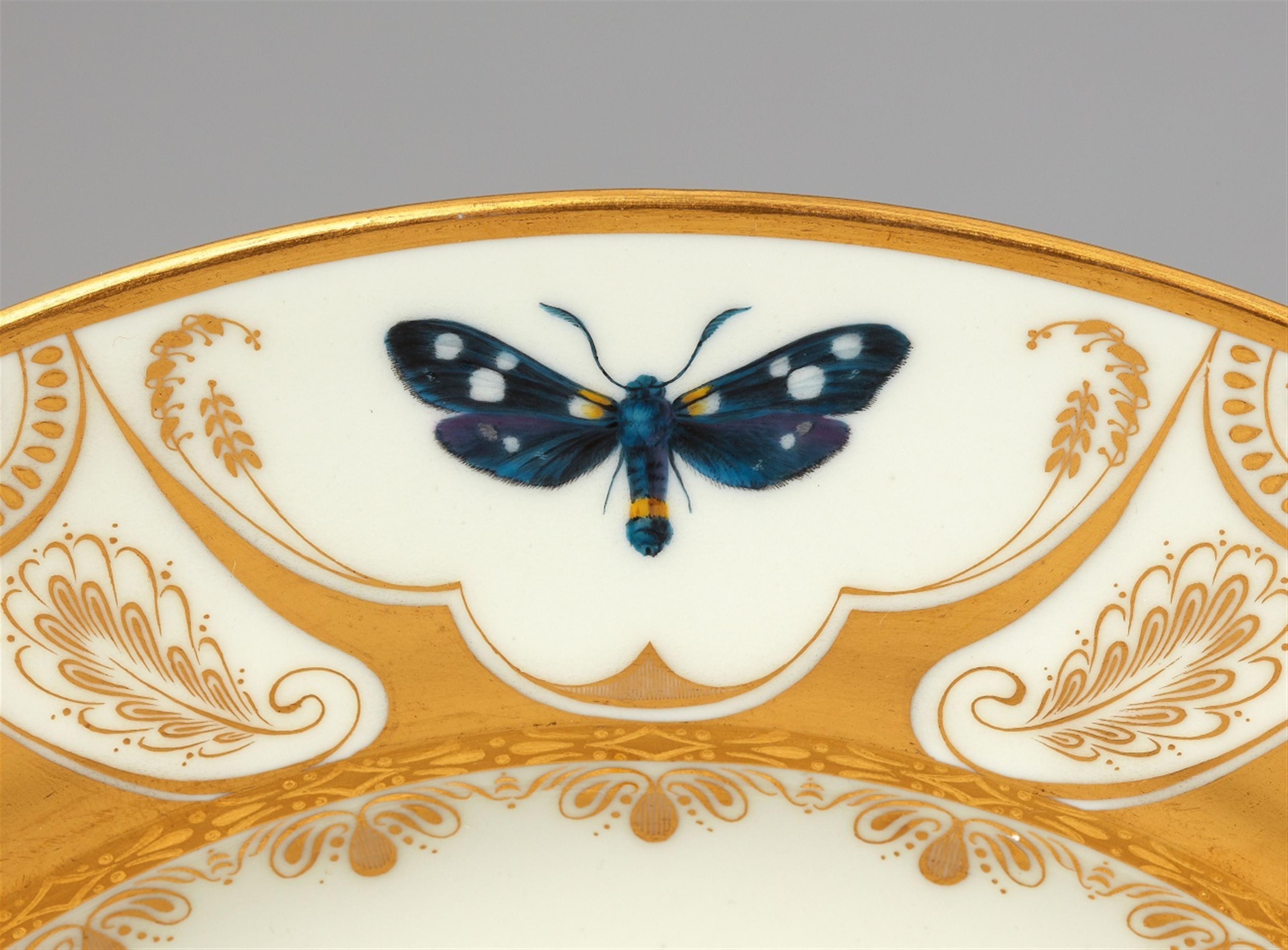 A Vienna porcelain plate with butterflies - image-6