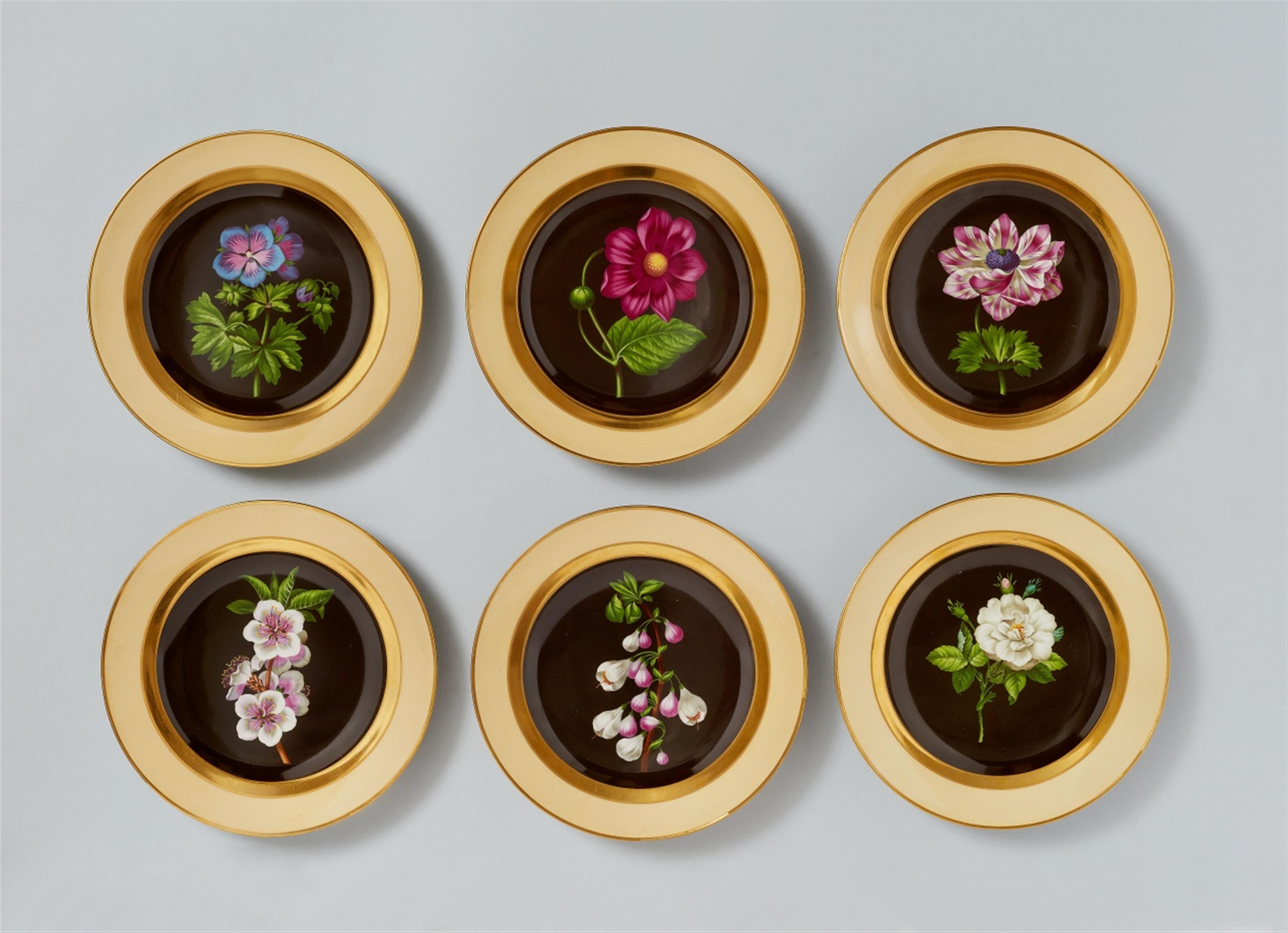 Six Vienna porcelain dinner plates with botanical motifs - image-1
