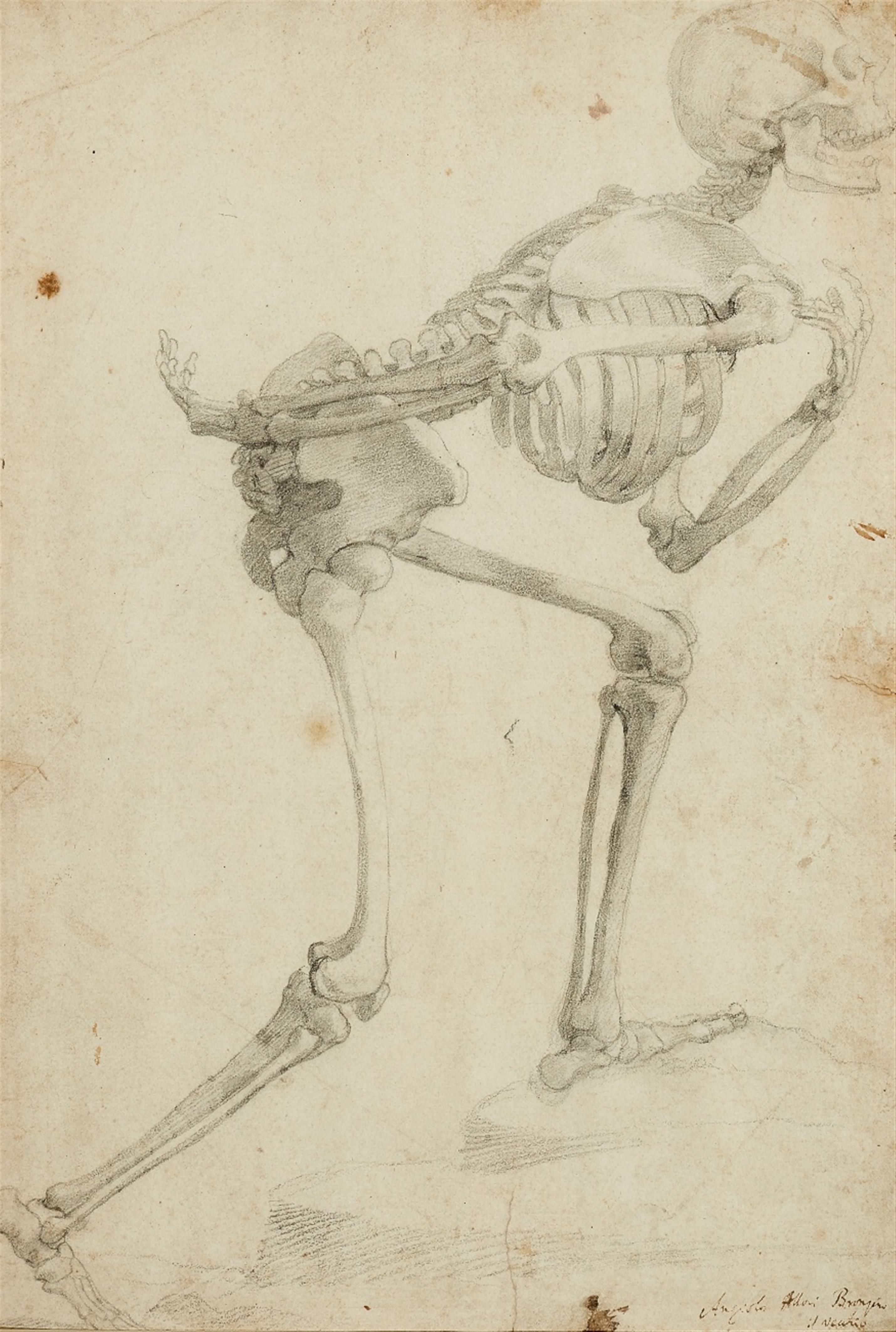 Agnolo Bronzino, zugeschrieben - Skelett, nach rechts schreitend - image-1