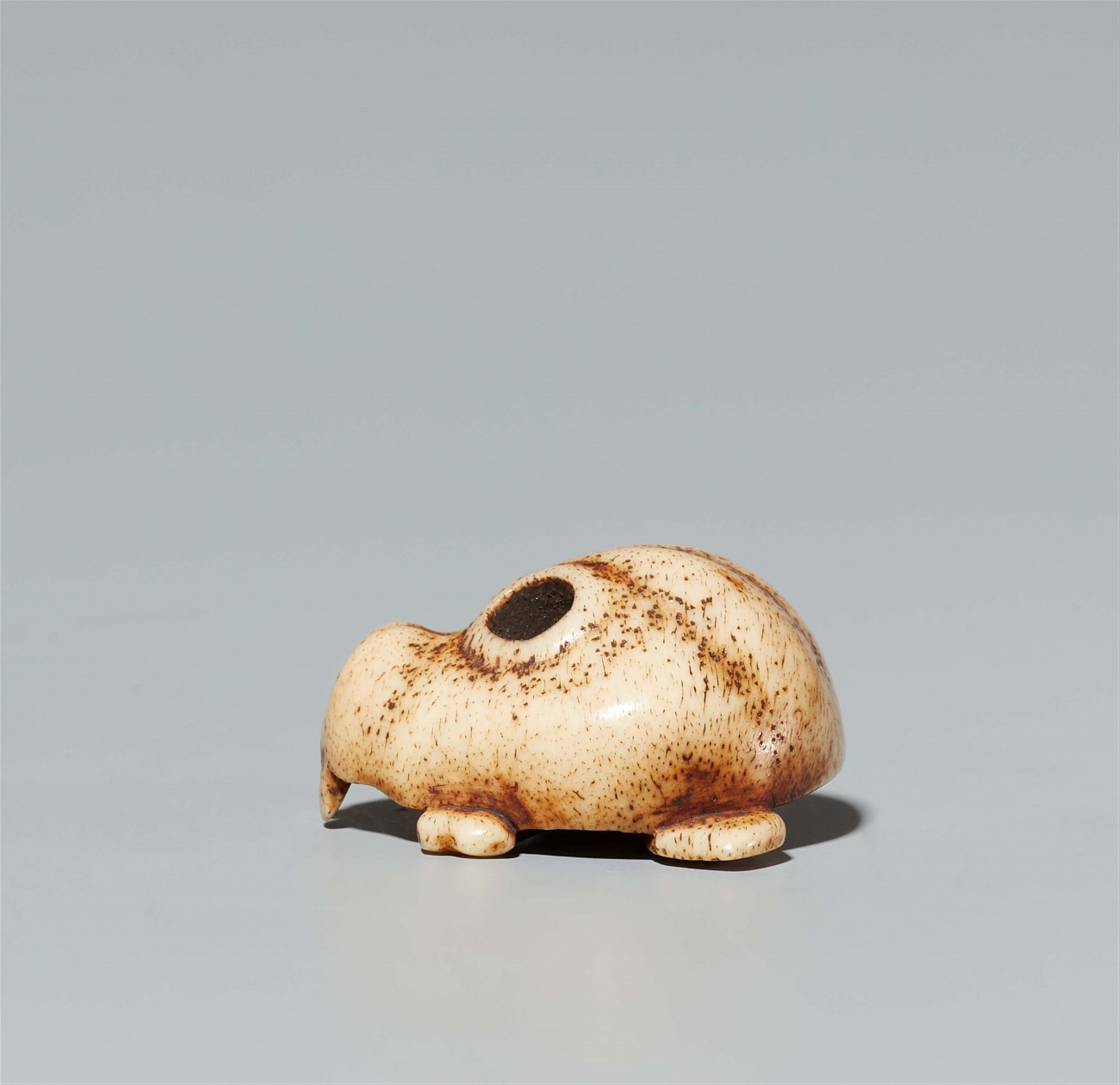 A bone netsuke of a skull. 19th century - image-3