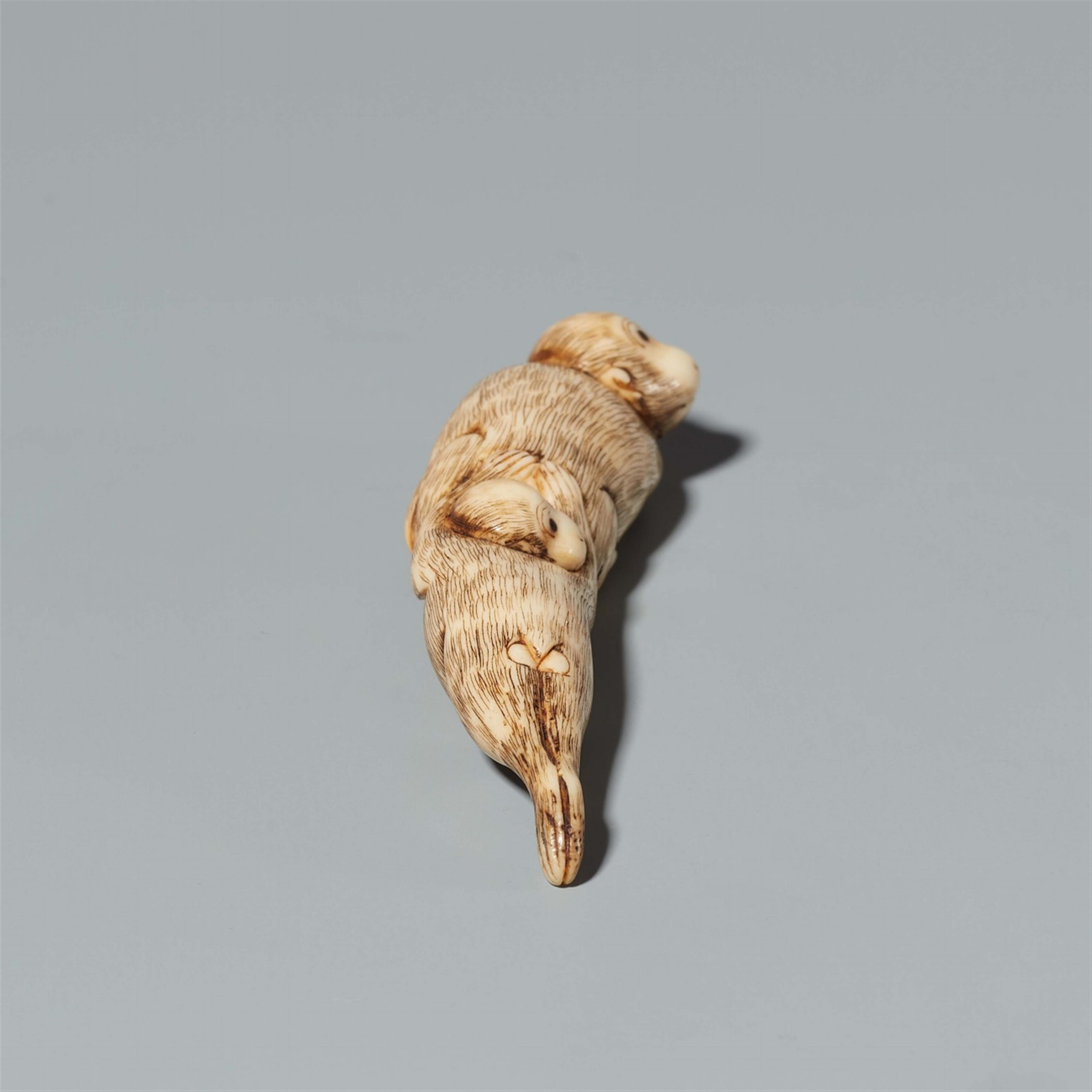 An ivory netsuke of a pair of monkeys. Around 1800 - image-4