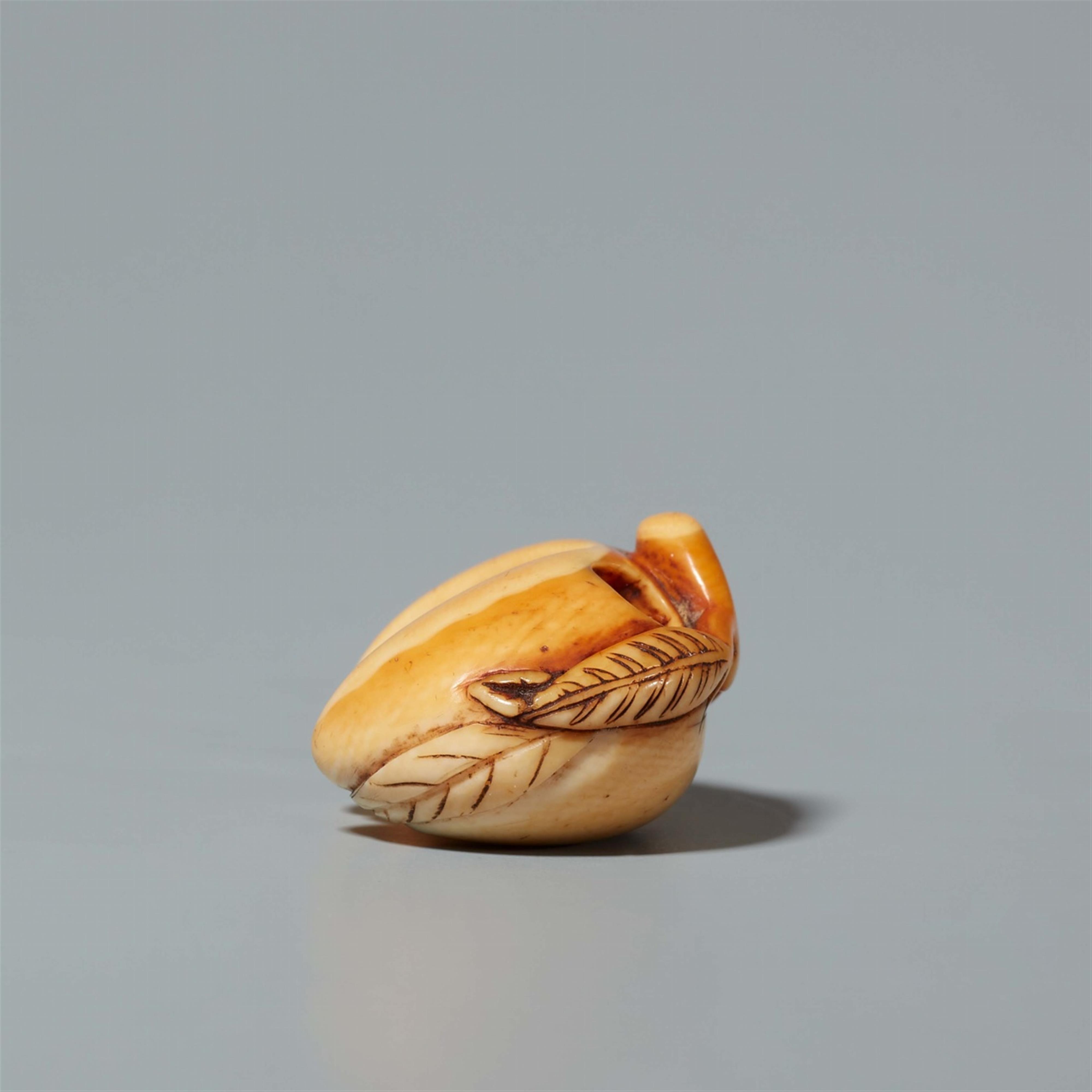 An ivory netsuke of a monkey in a peach. 18th century - image-3