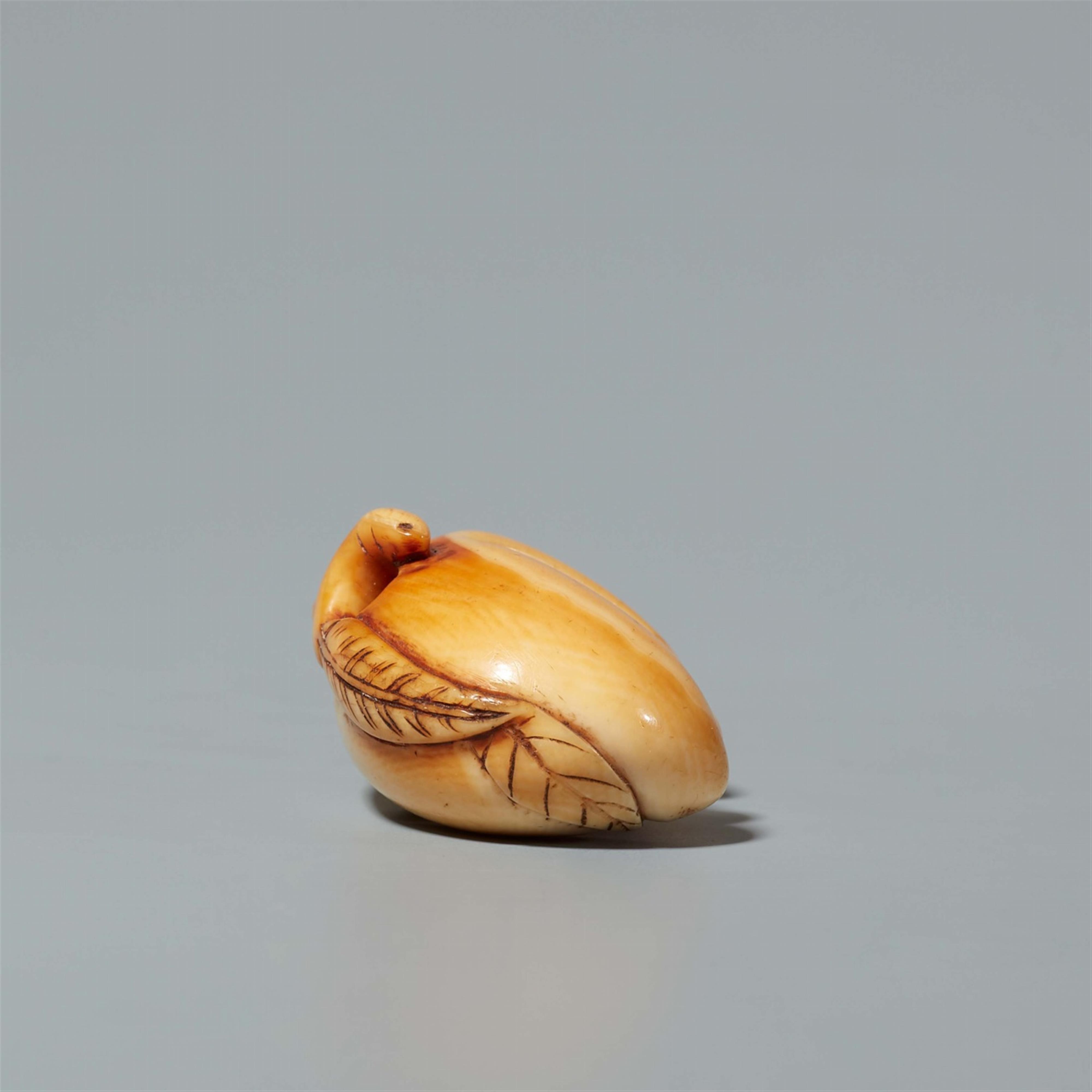 An ivory netsuke of a monkey in a peach. 18th century - image-4