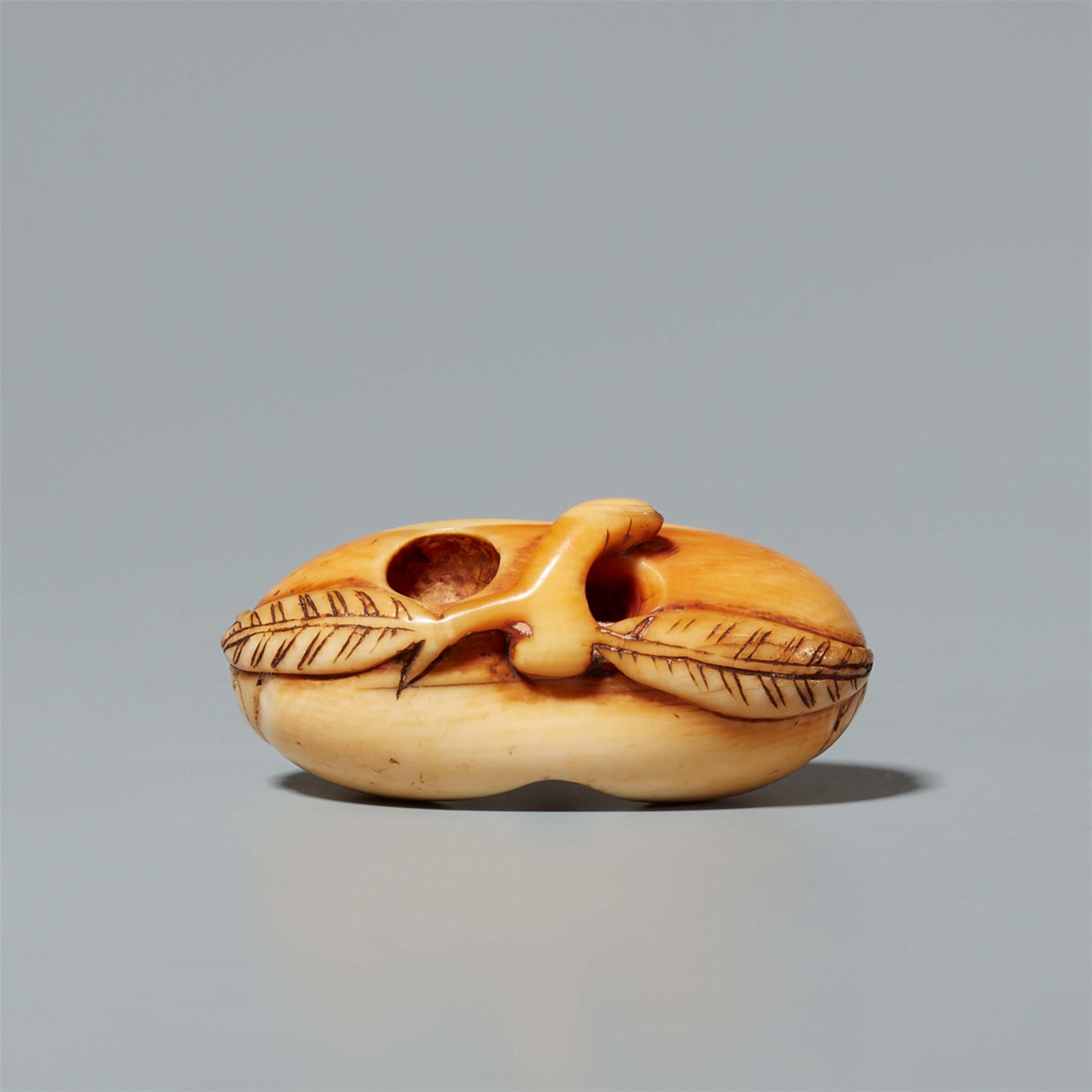 An ivory netsuke of a monkey in a peach. 18th century - image-5