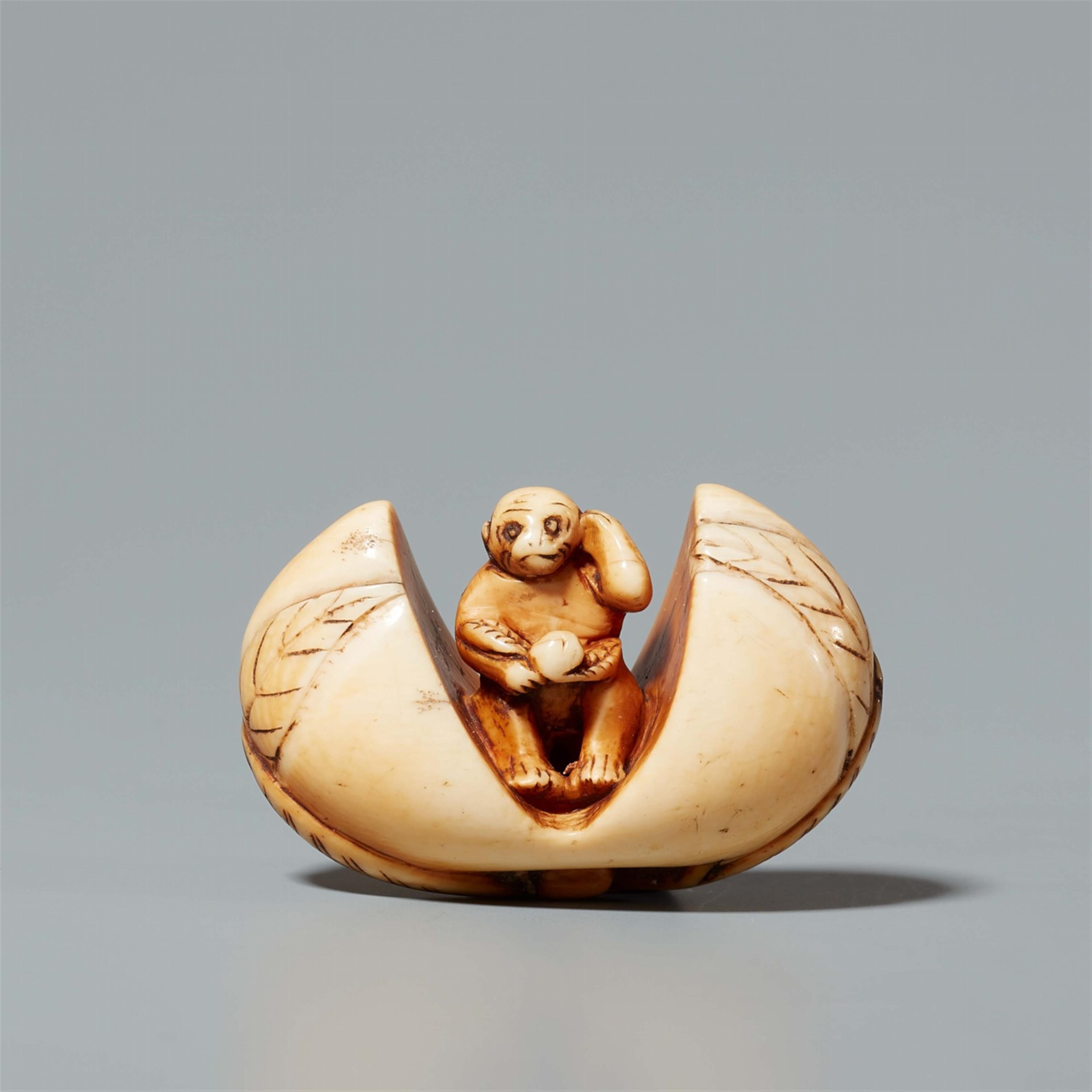 An ivory netsuke of a monkey in a peach. 18th century - image-1