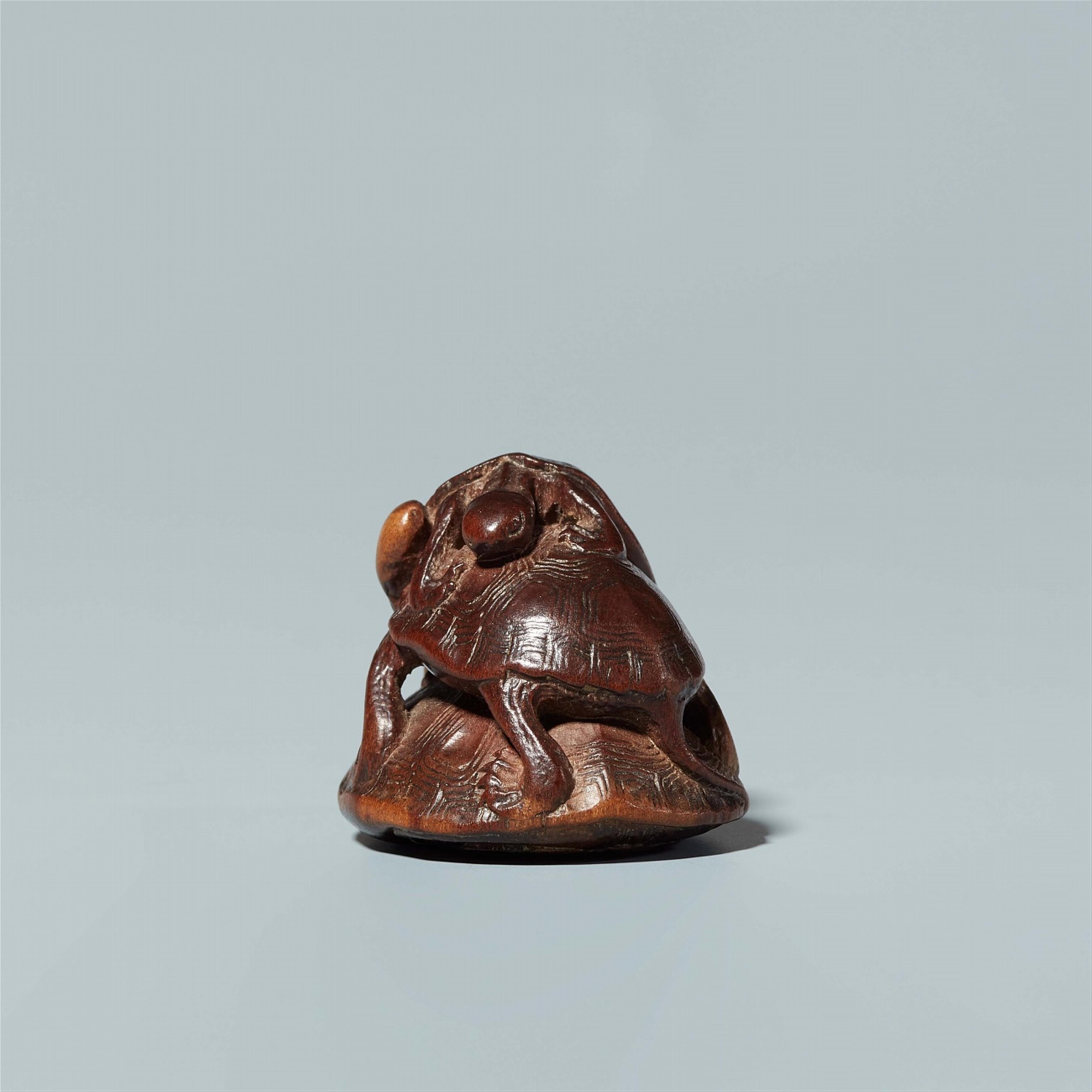 A boxwood netsuke of a turtle group, by Kômin. Mid-19th century - image-3