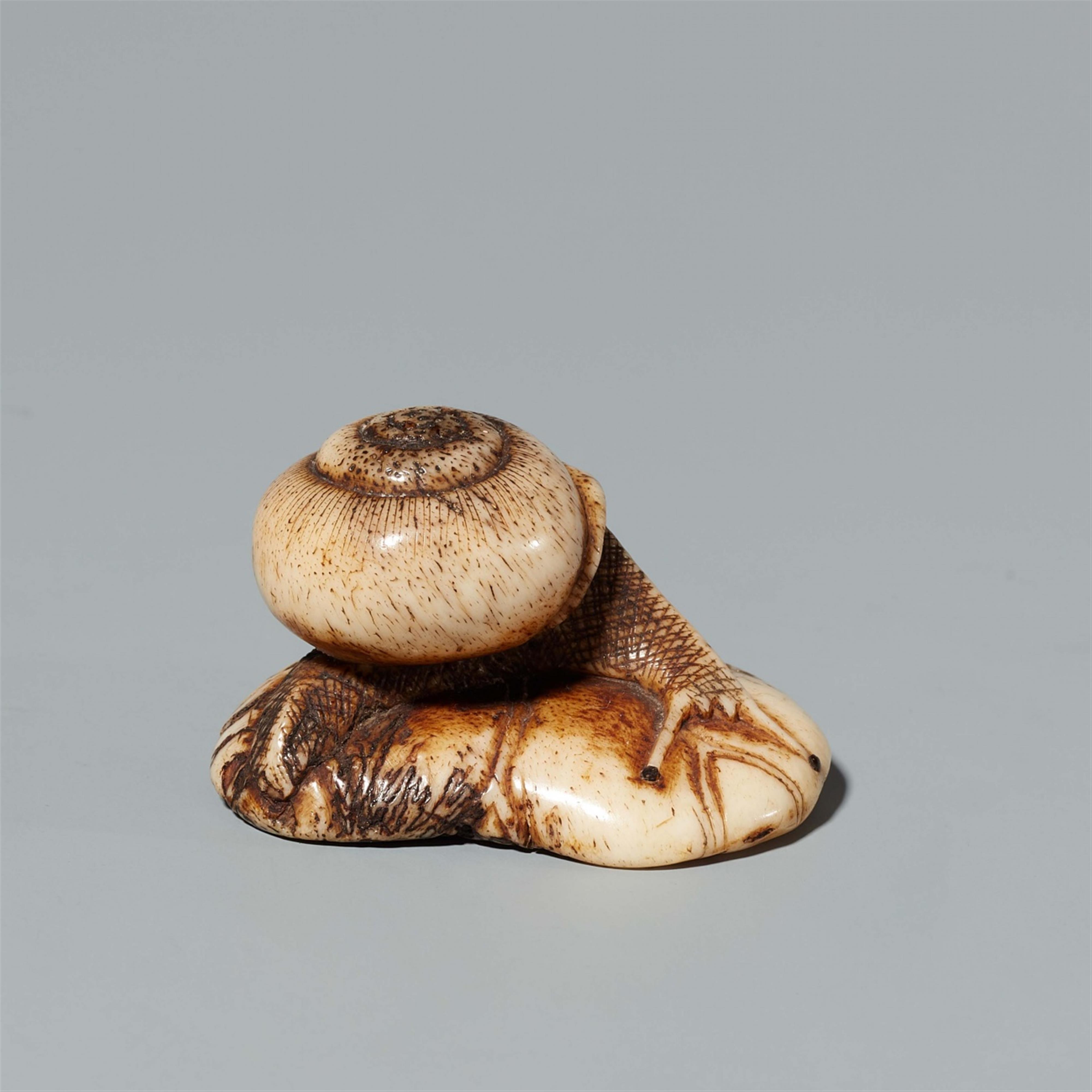An Asakusa-type stag antler netsuke of snails on a lotus leaf. Mid-19th century - image-2