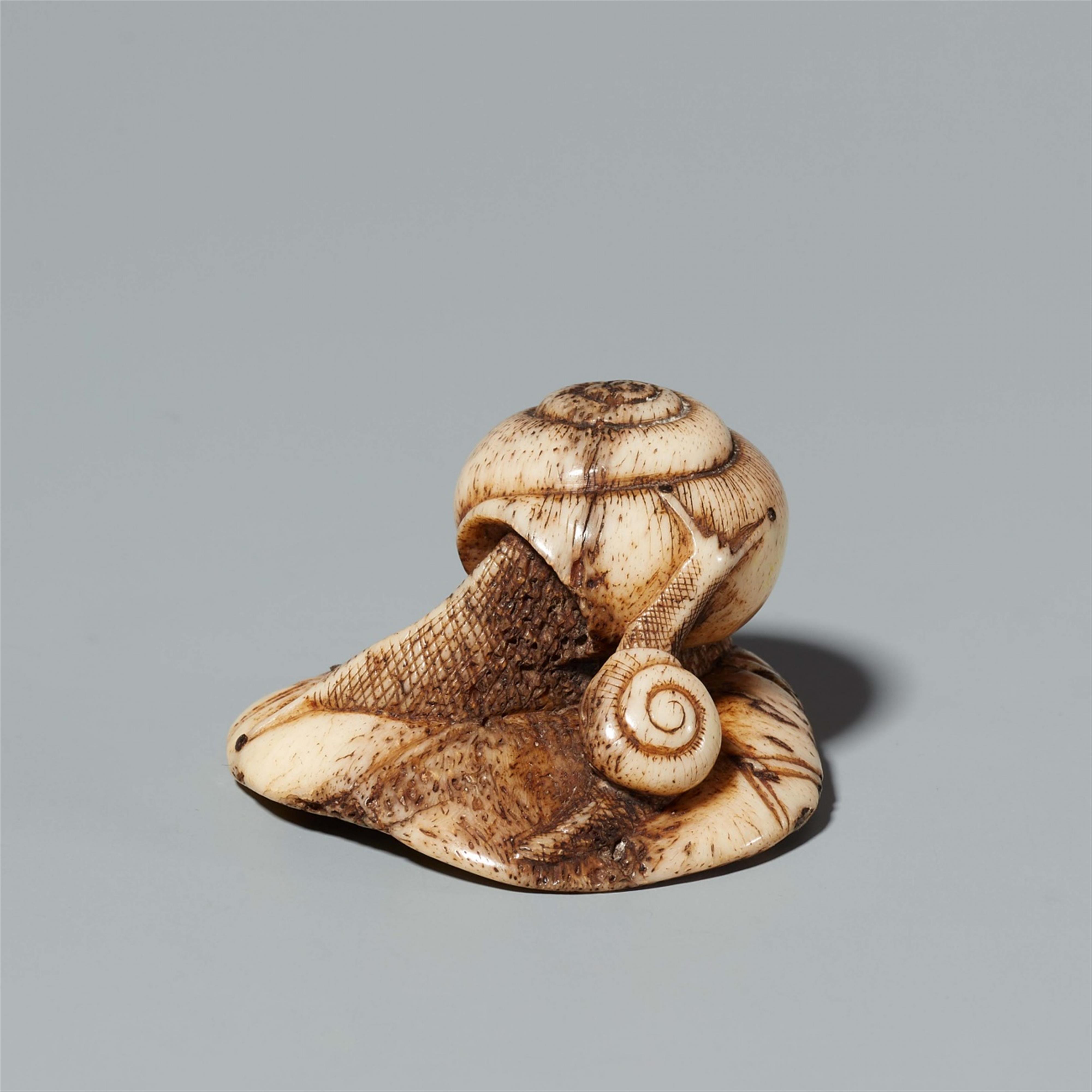 An Asakusa-type stag antler netsuke of snails on a lotus leaf. Mid-19th century - image-4