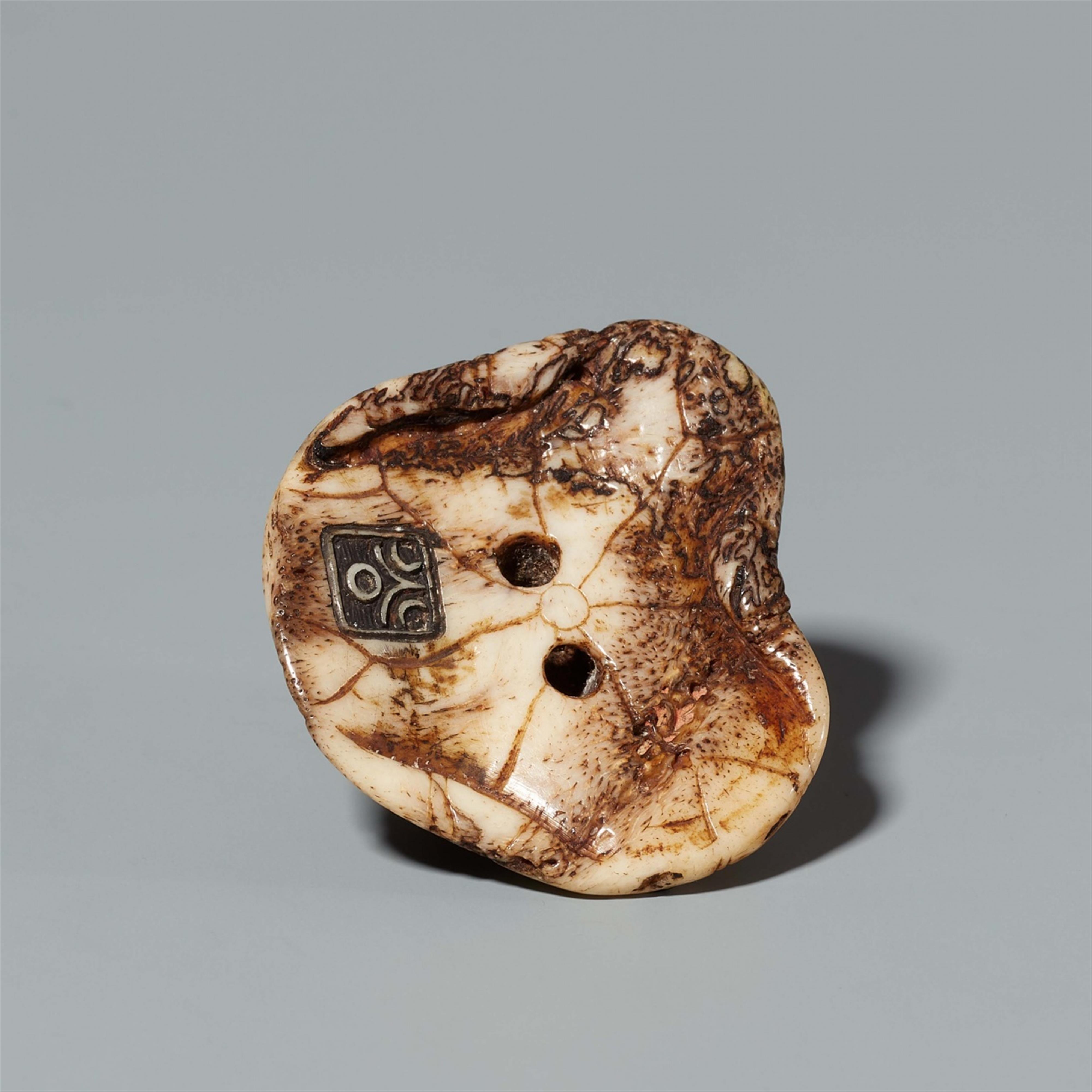 An Asakusa-type stag antler netsuke of snails on a lotus leaf. Mid-19th century - image-5