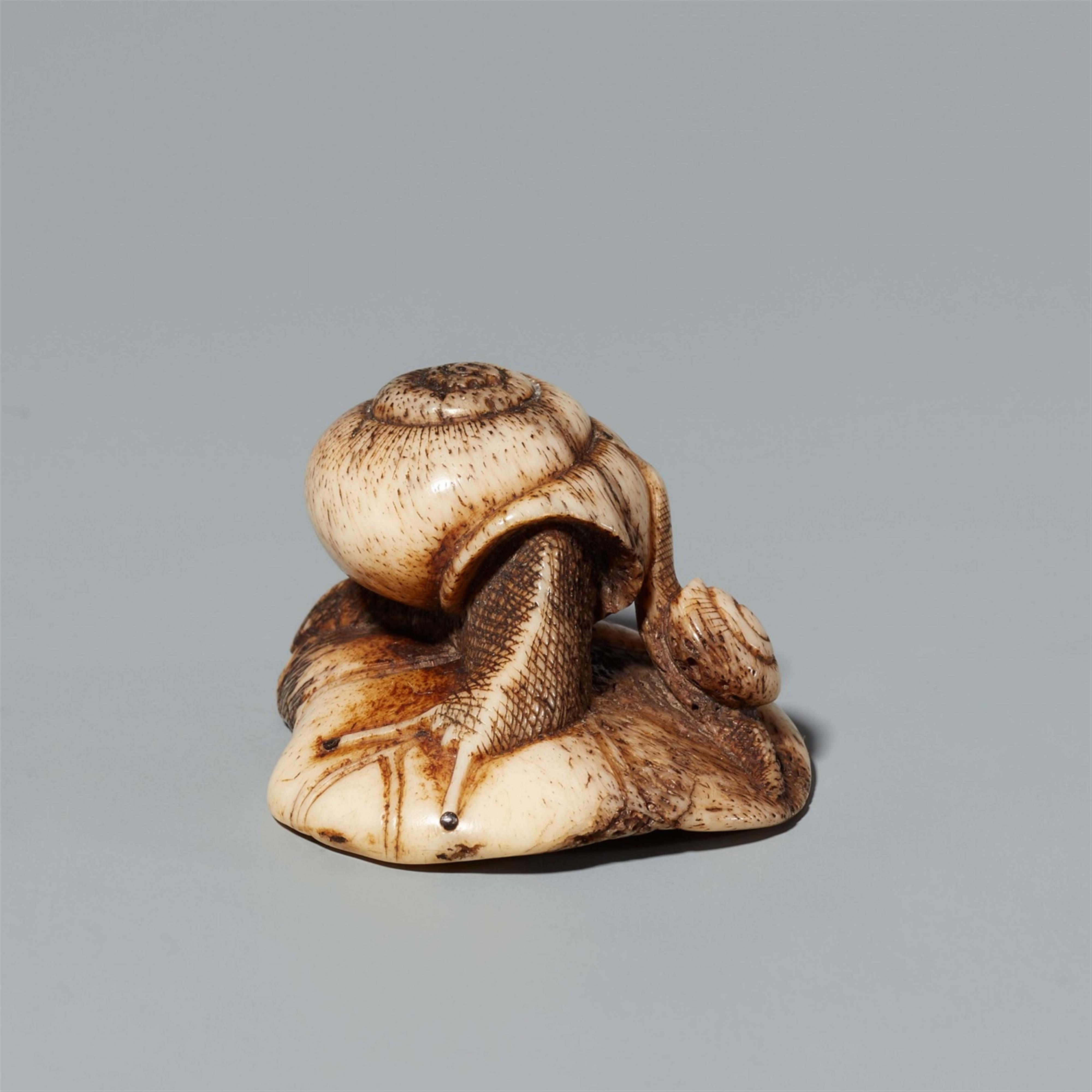 An Asakusa-type stag antler netsuke of snails on a lotus leaf. Mid-19th century - image-1
