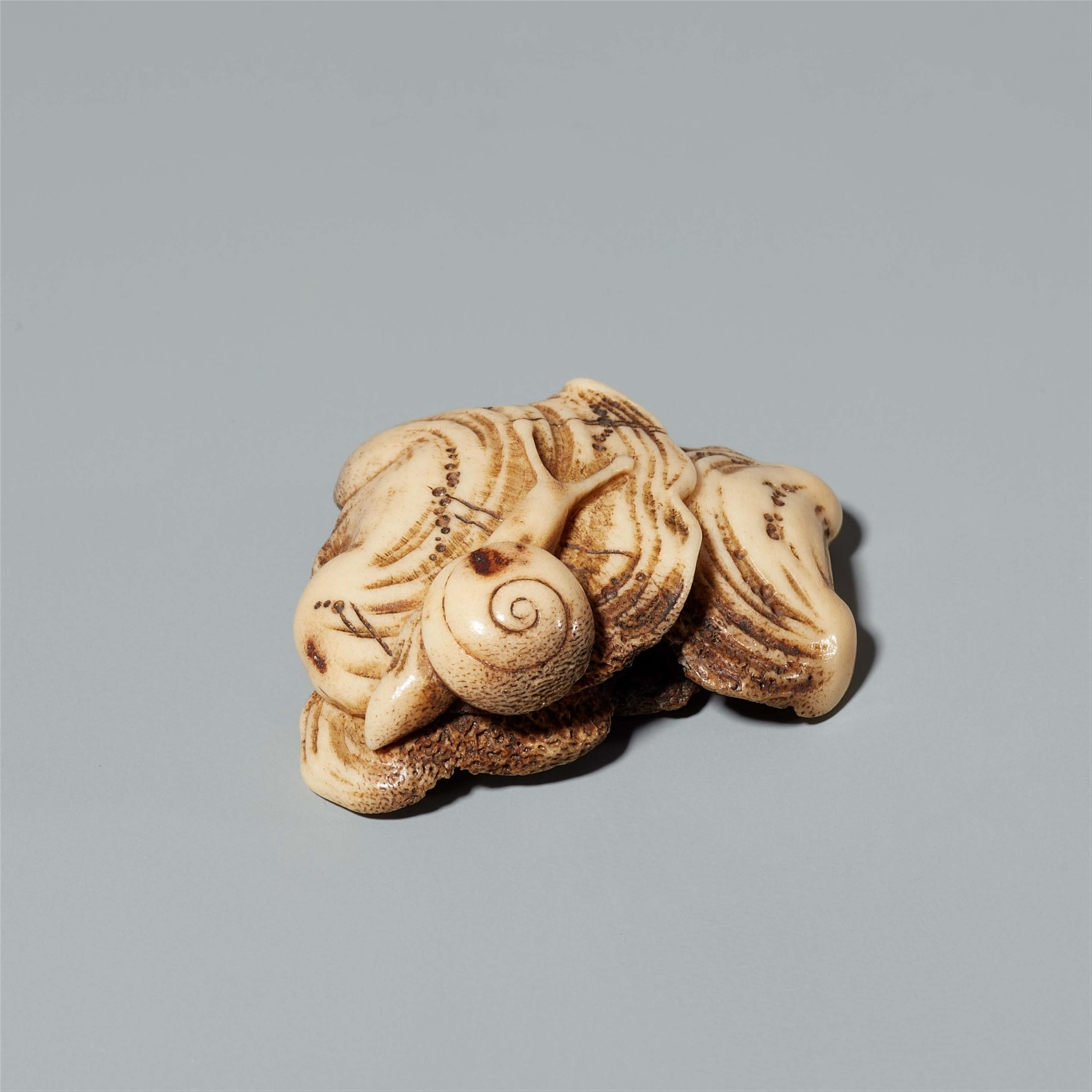 A stag horn netsuke of a snail on a mushroom. Mid-19th century - image-3
