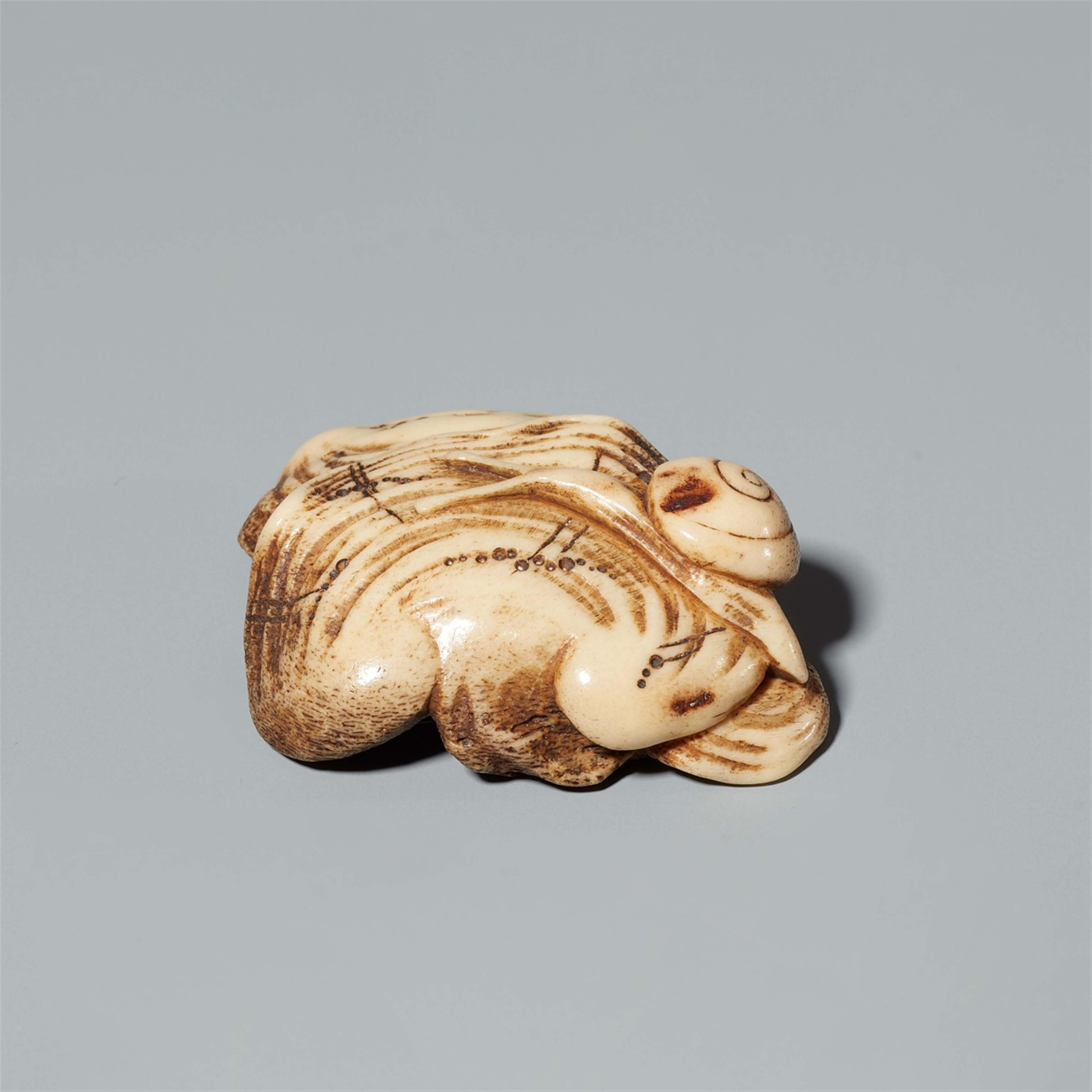 A stag horn netsuke of a snail on a mushroom. Mid-19th century - image-4