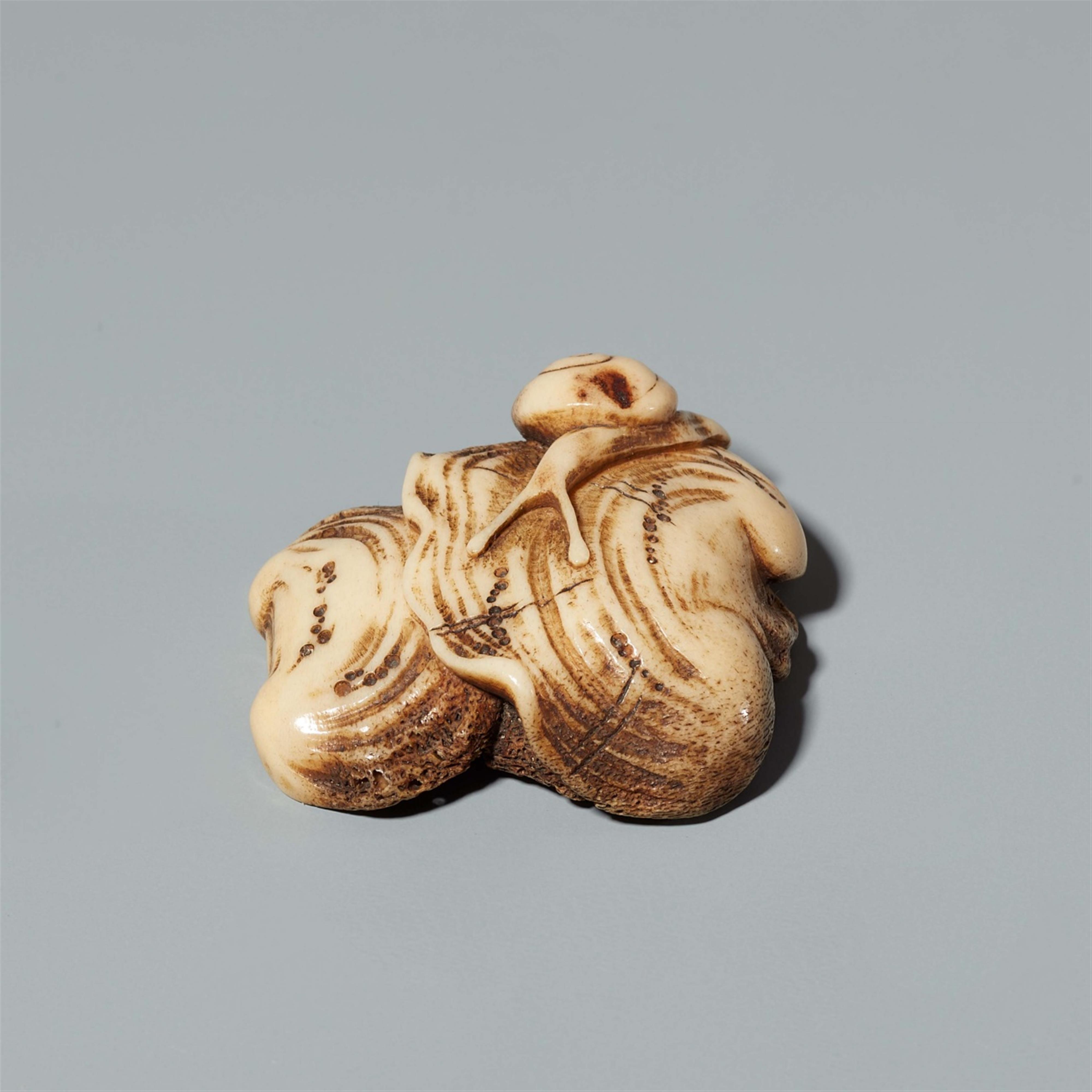 A stag horn netsuke of a snail on a mushroom. Mid-19th century - image-1