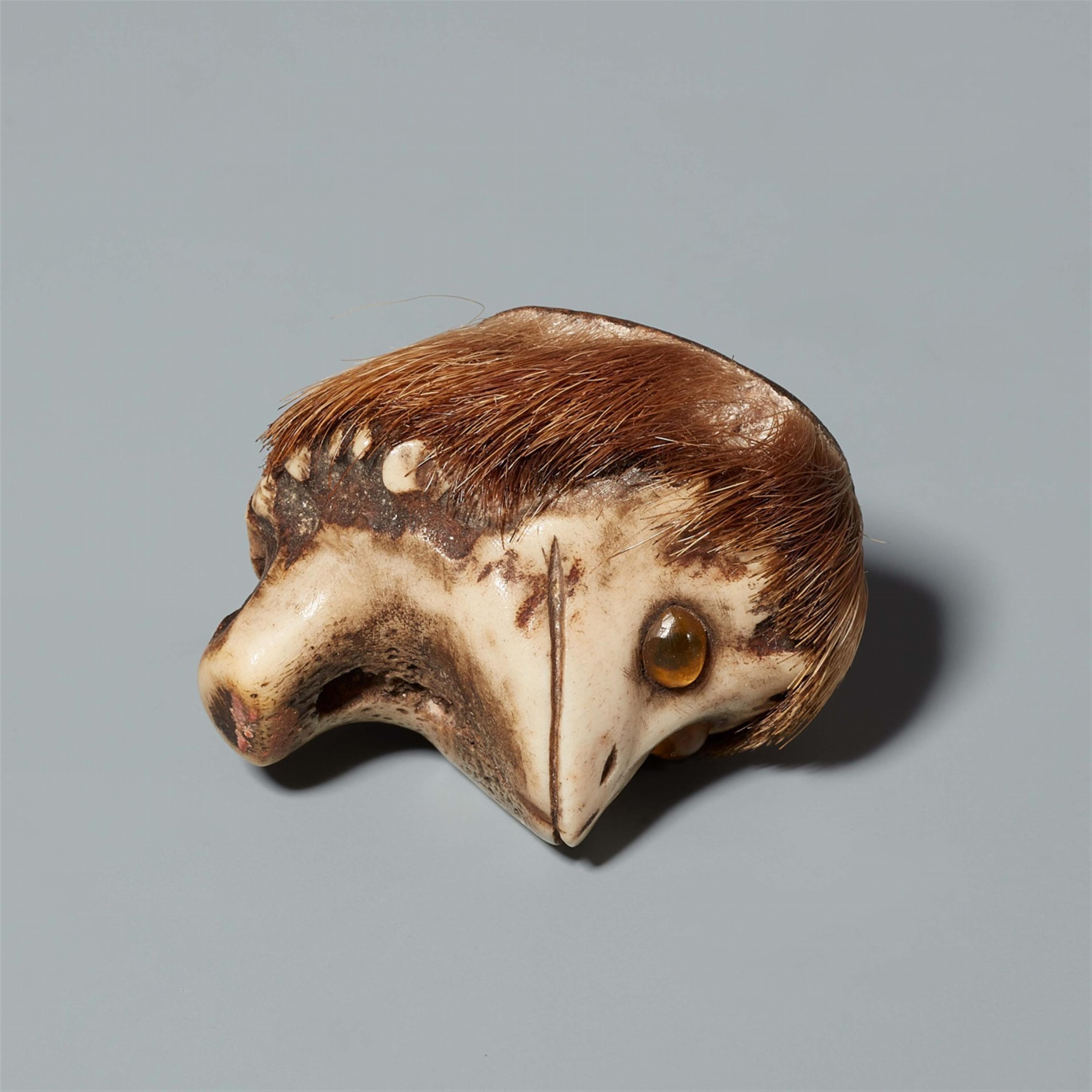An Asakusa-type stag horn netsuke of the head of a kappa. 19th century - image-2