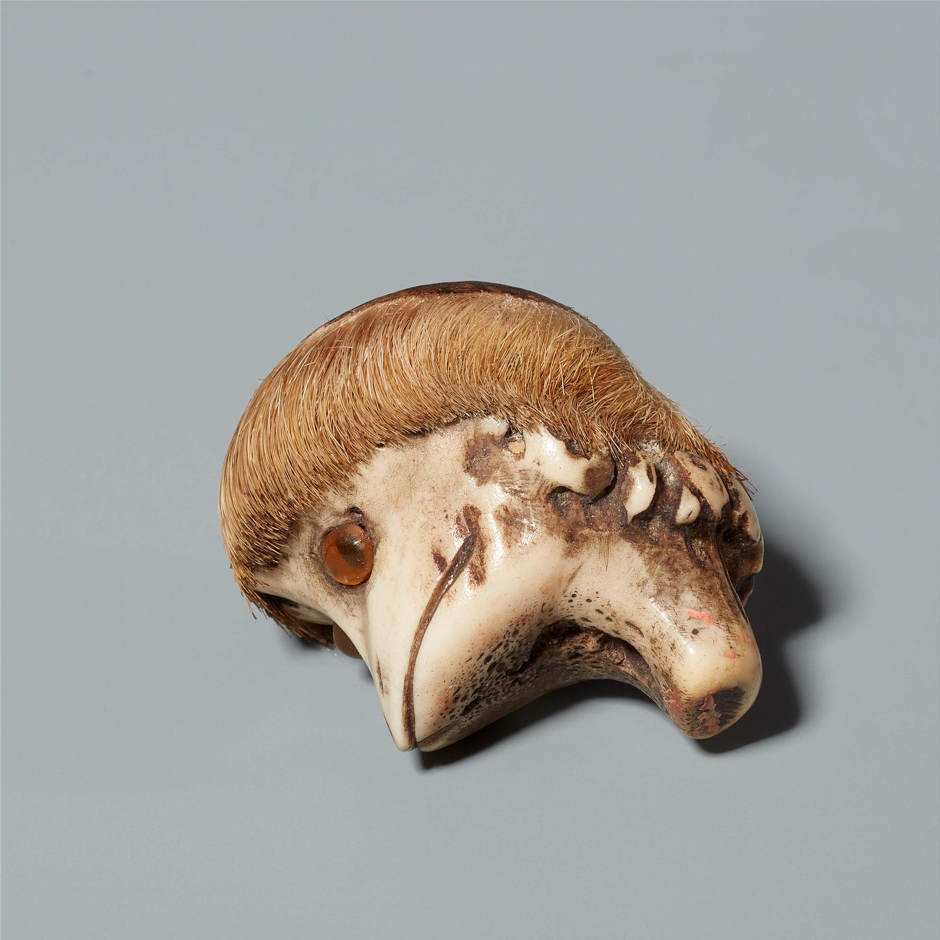 An Asakusa-type stag horn netsuke of the head of a kappa. 19th century - image-3