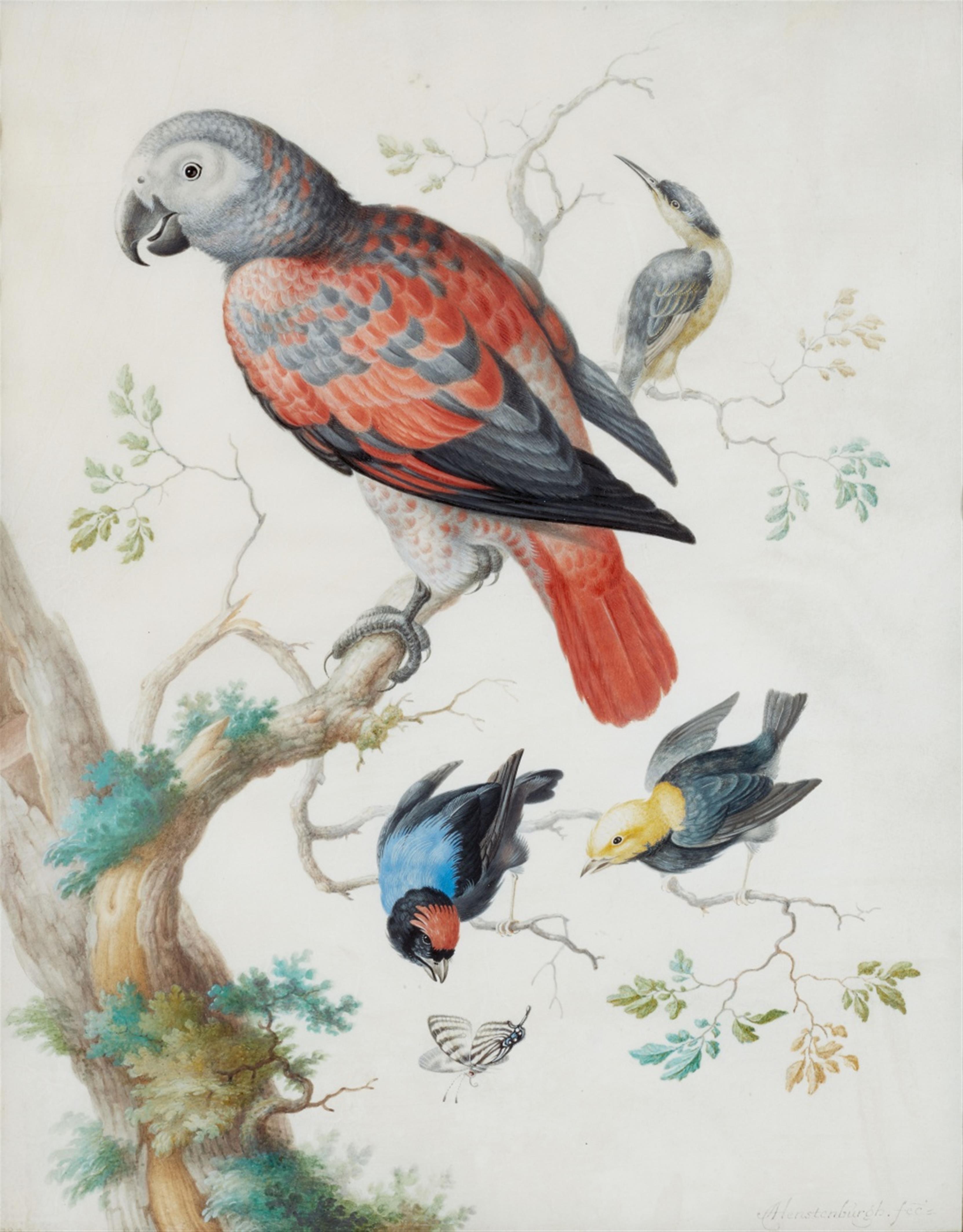 Anton  Henstenburgh - A Red and Green Parrot and Exotic Birds - image-1