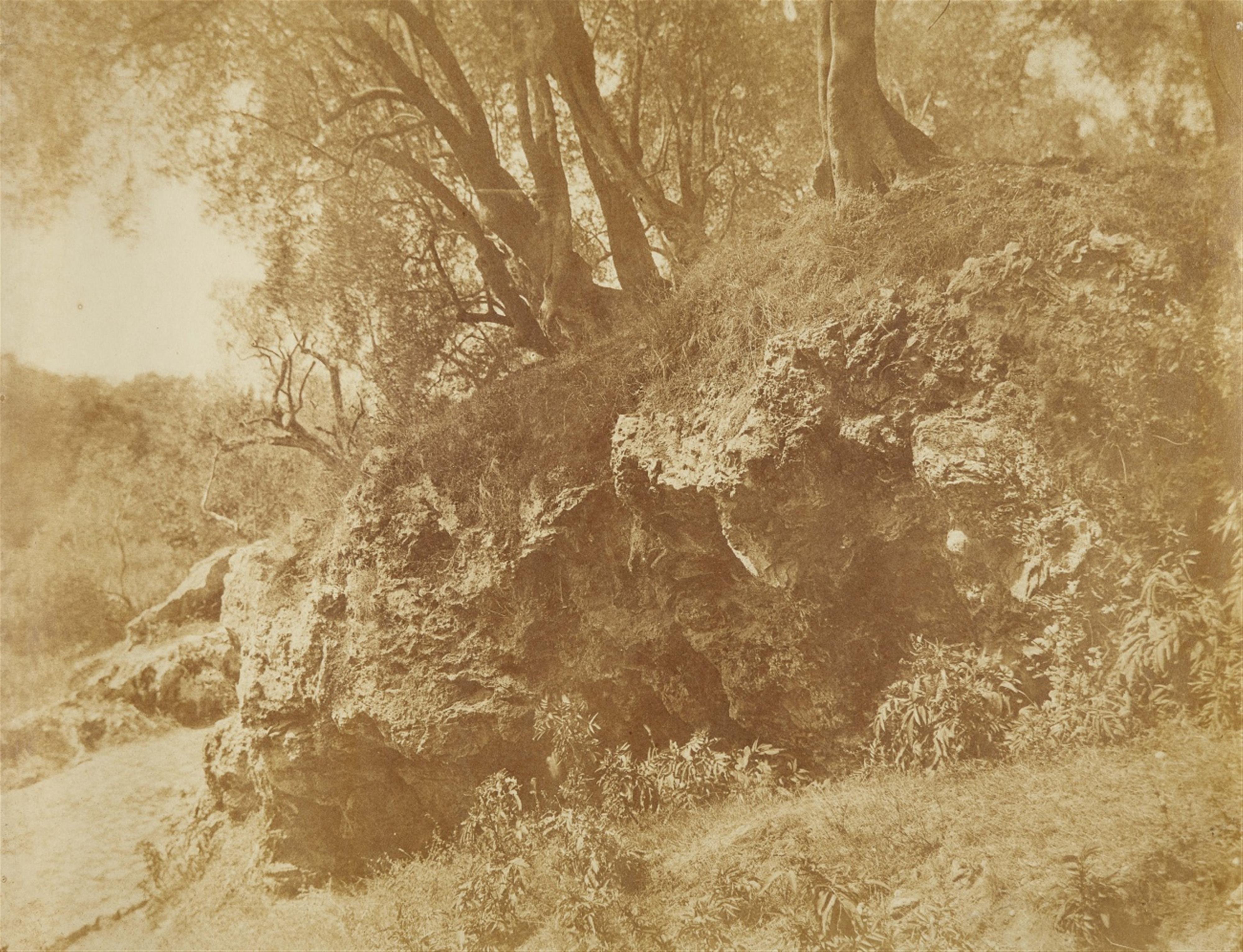 Giacomo Caneva - Study with Rocks and Trees, Campagna Romana - image-1