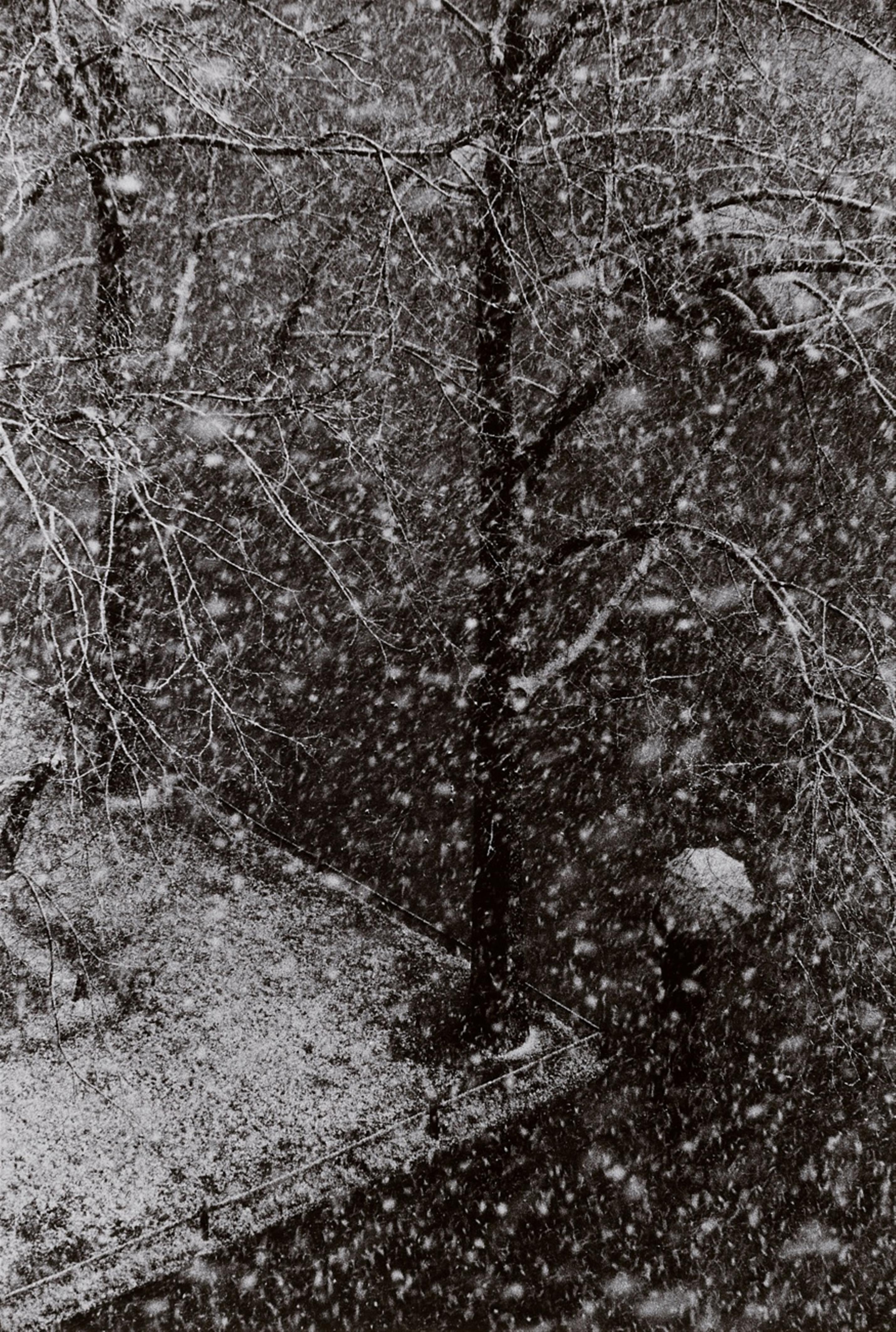 Herbert List - Erster Schnee (View from the photographer's studio, Munich-Schwabing) - image-1