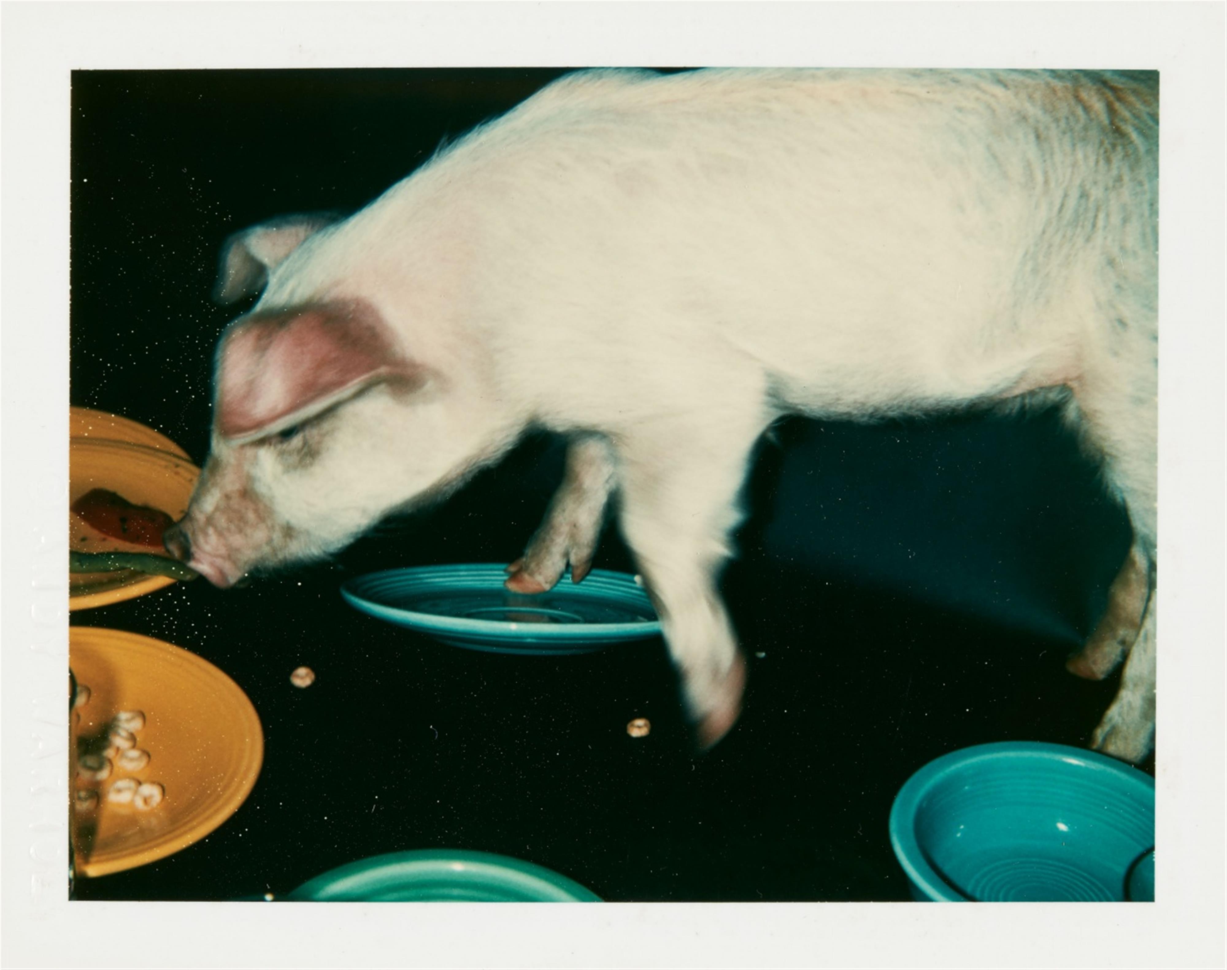Andy Warhol - Fiesta Pig - image-1