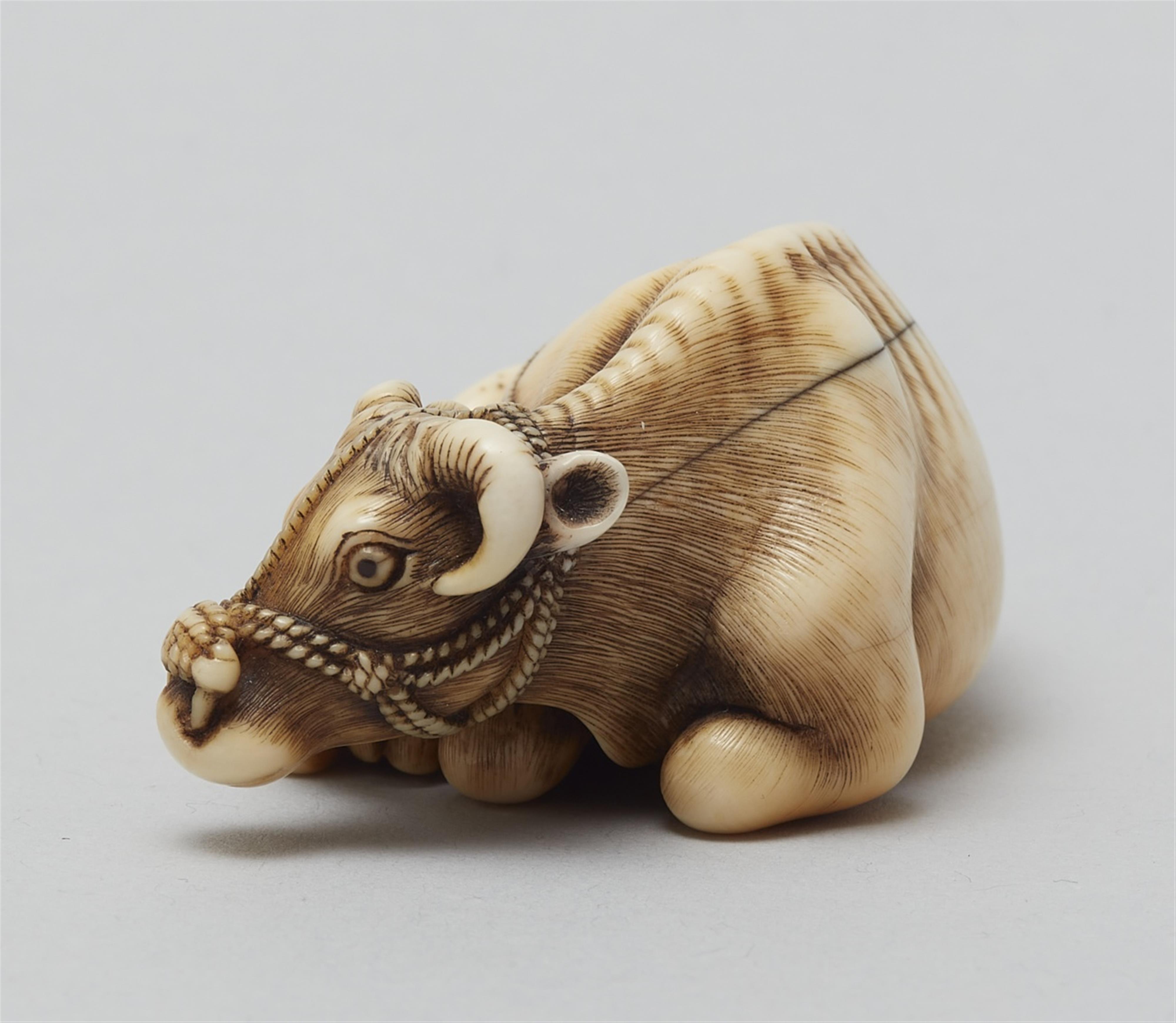 A large ivory netsuke of an ox with a calf. Late 18th century - image-2