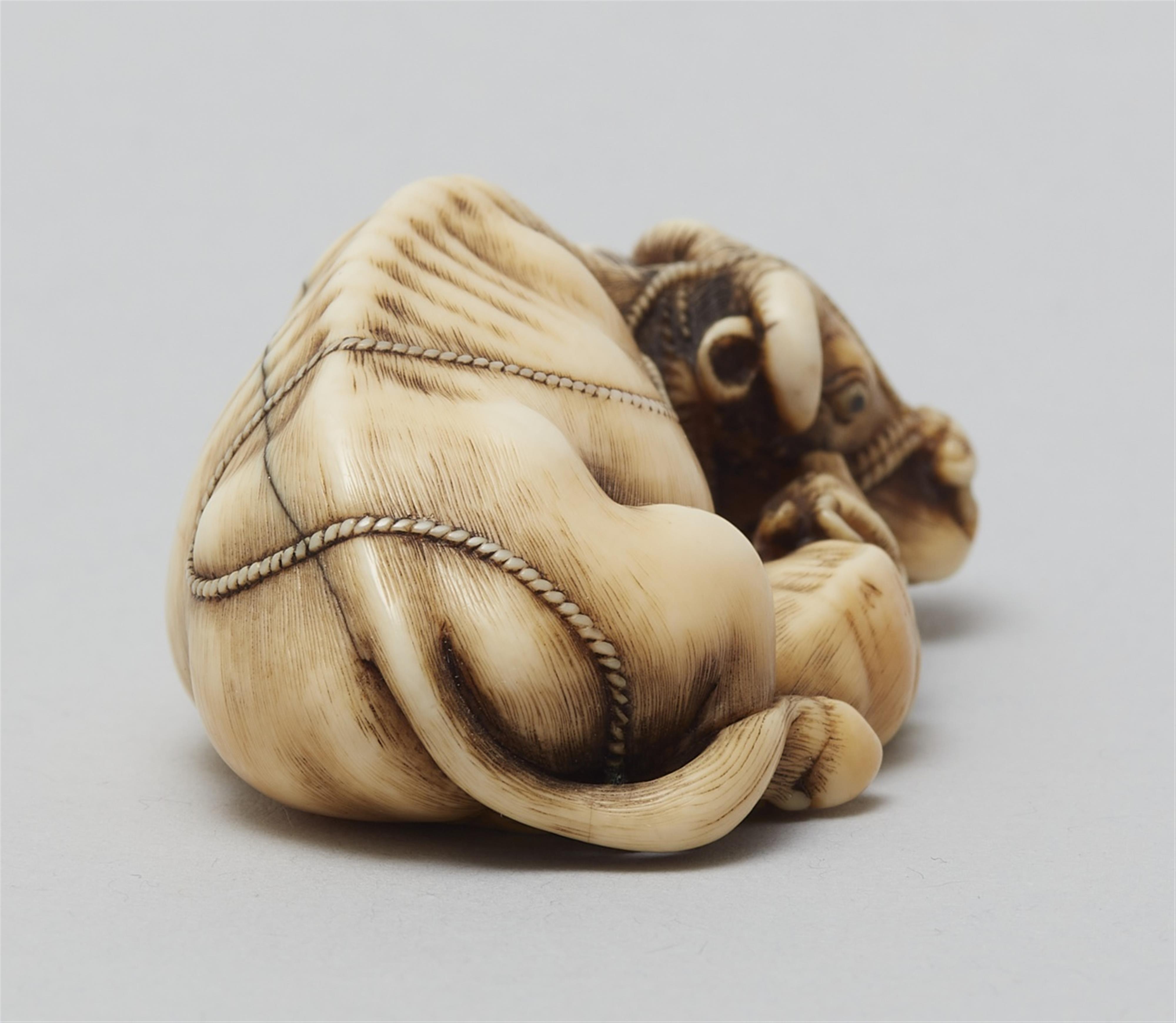 A large ivory netsuke of an ox with a calf. Late 18th century - image-4