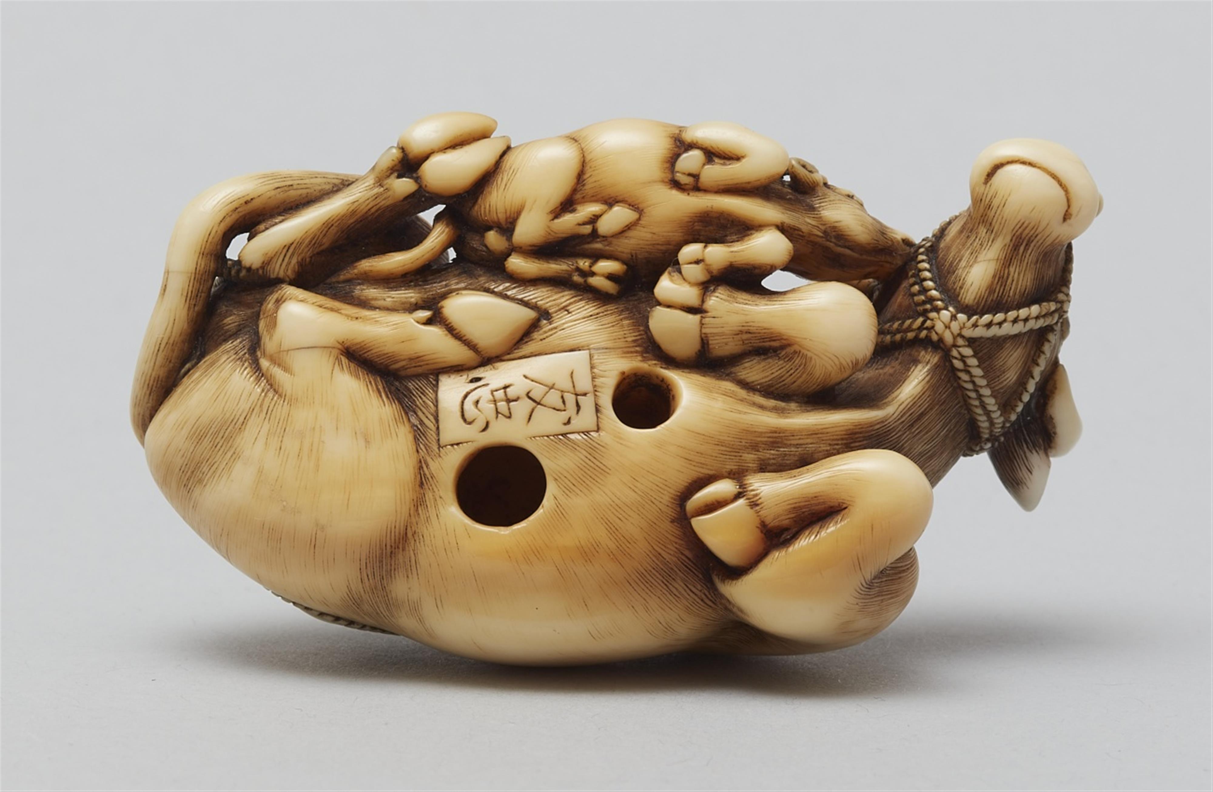A large ivory netsuke of an ox with a calf. Late 18th century - image-5