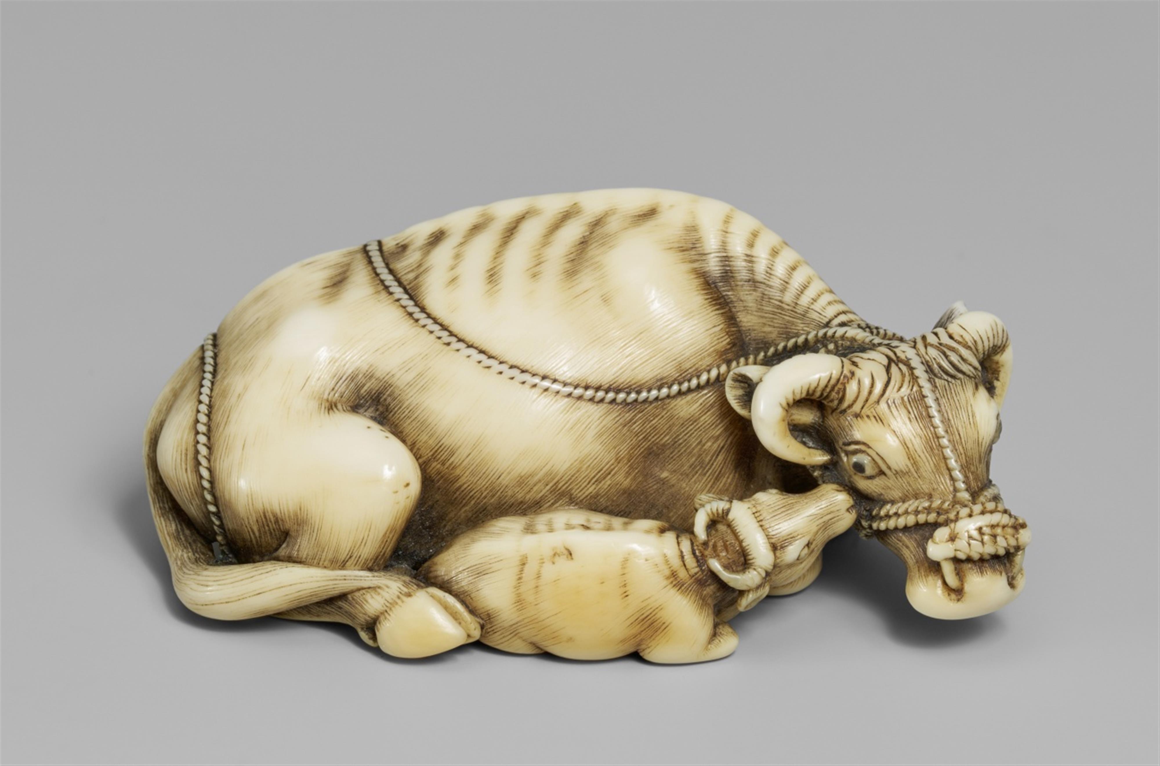 A large ivory netsuke of an ox with a calf. Late 18th century - image-1
