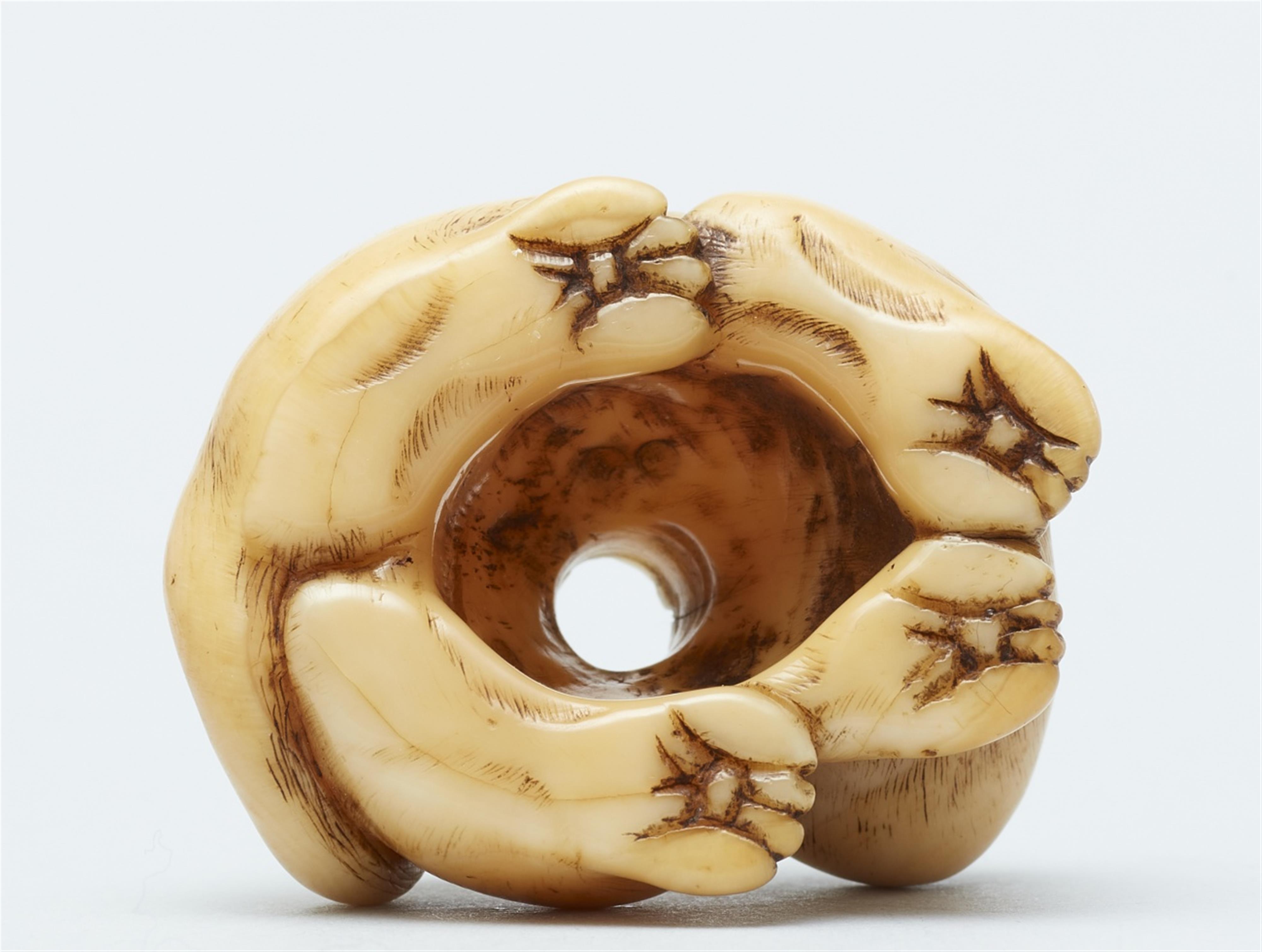 An ivory ash tray netsuke of a recumbent tiger. Early 19th century - image-5