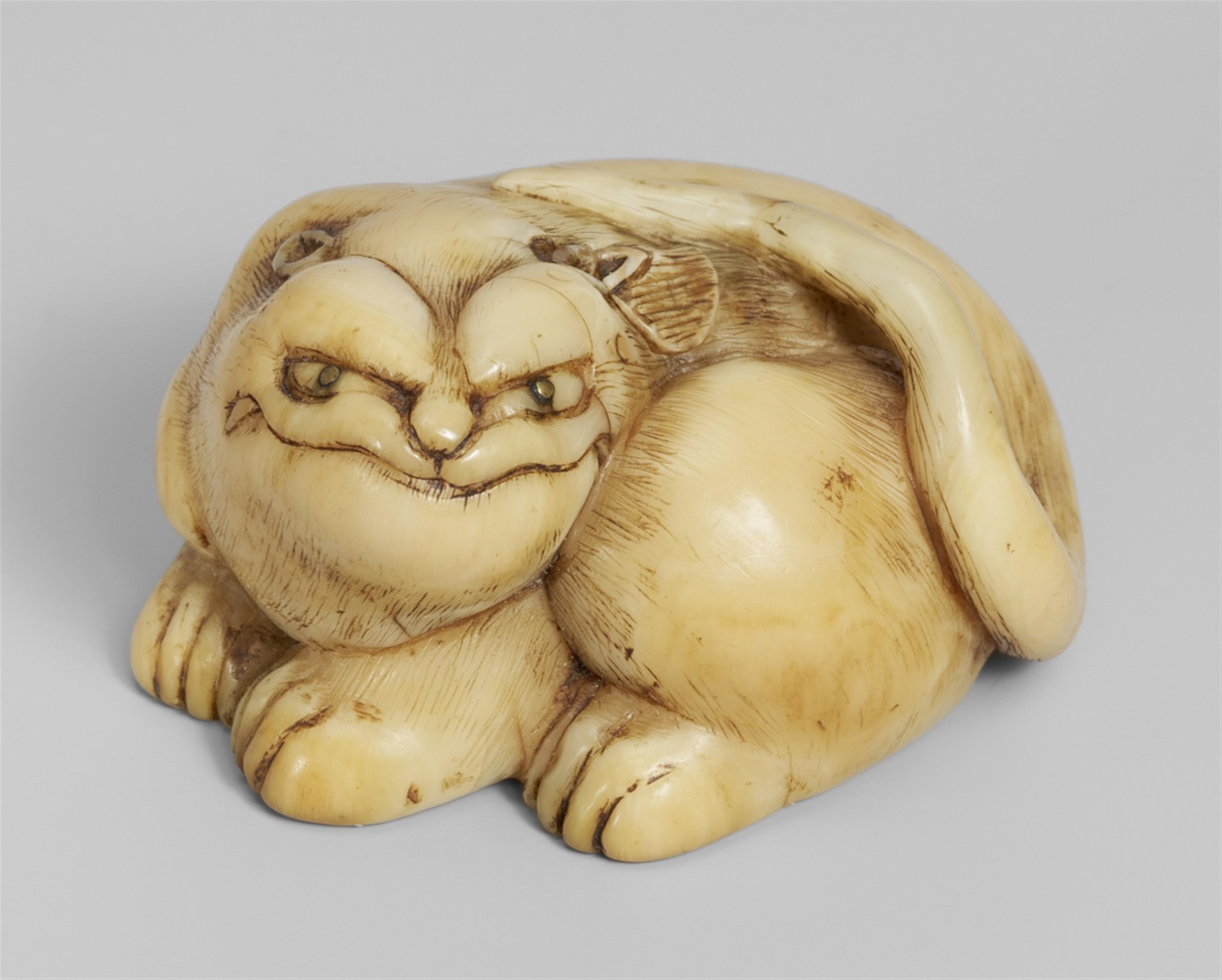 An ivory ash tray netsuke of a recumbent tiger. Early 19th century - image-1