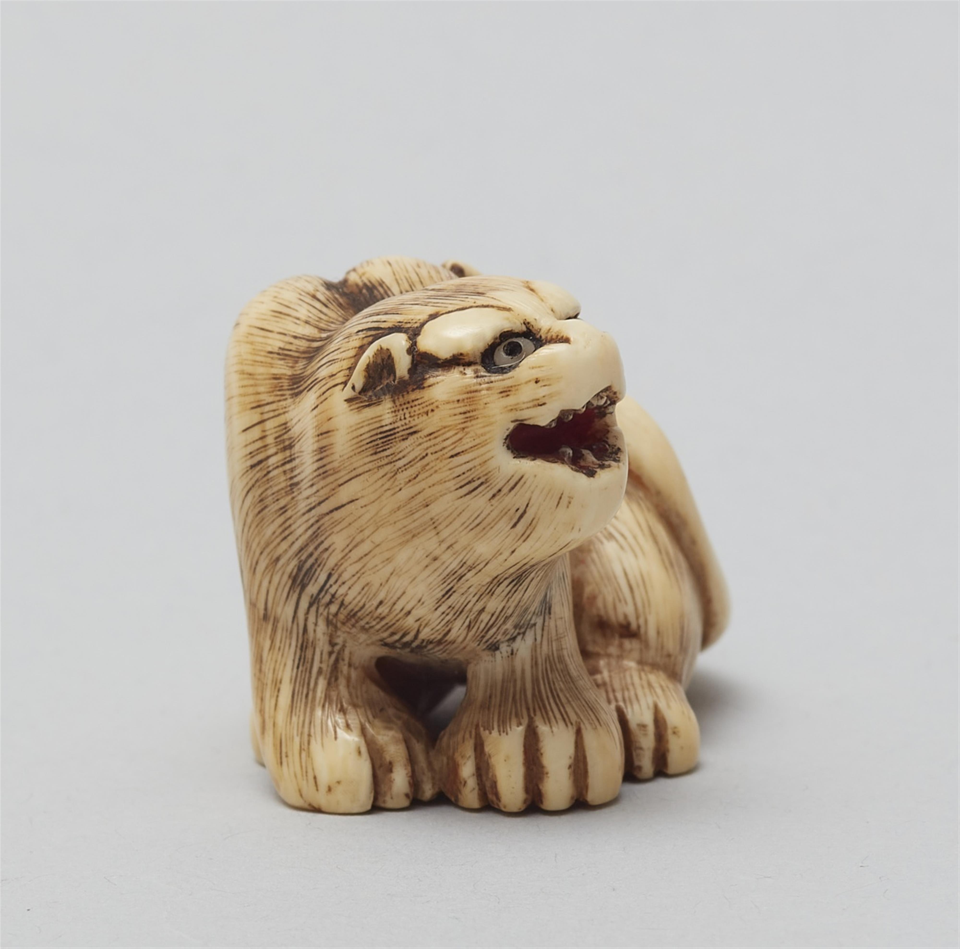 An ivory netsuke of a seated tiger, in the manner of Hakuryu. First half 19th century - image-2