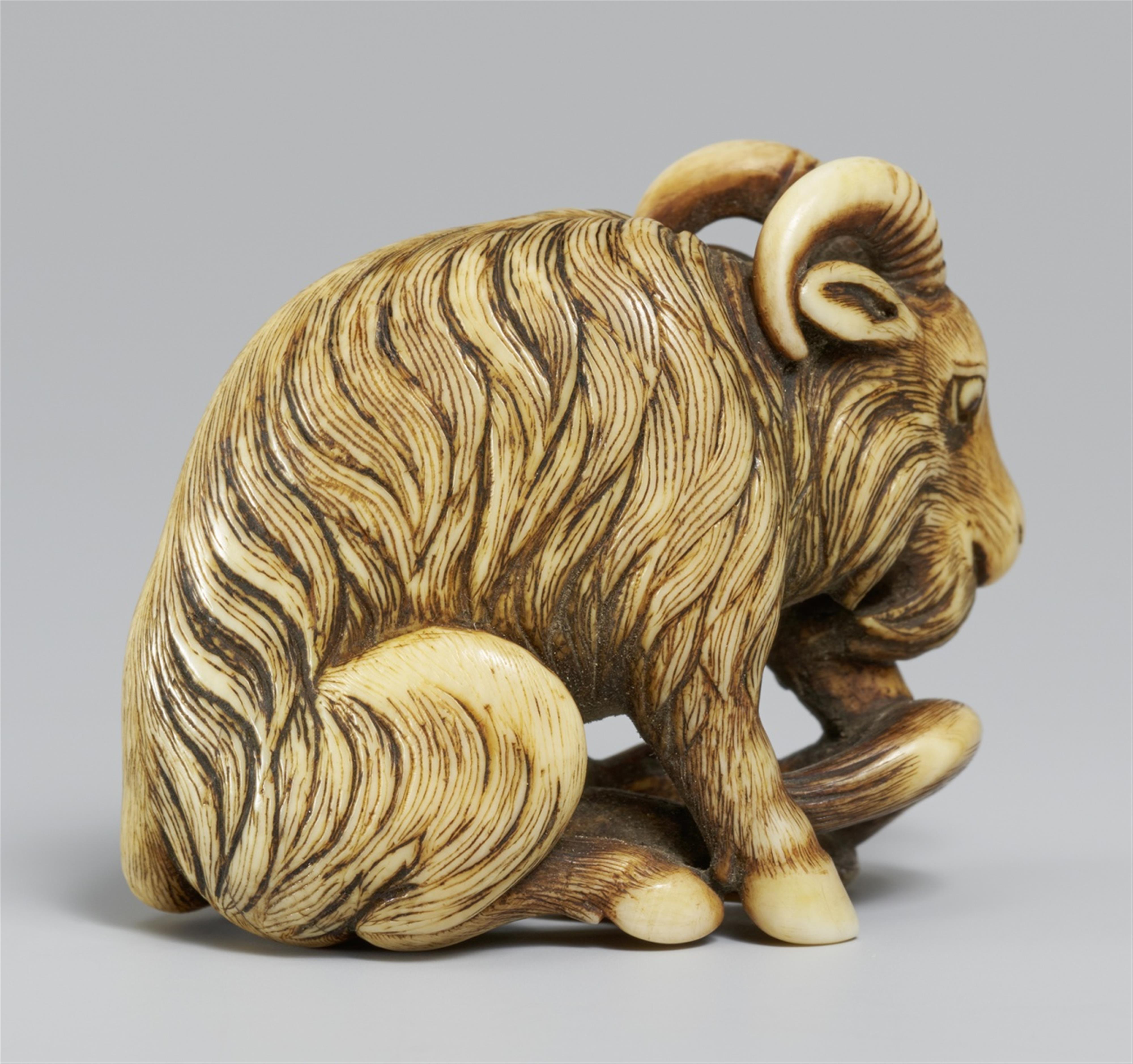 An ivory netsuke of a long-haired goat, by Okakoto. Early 19th century - image-2