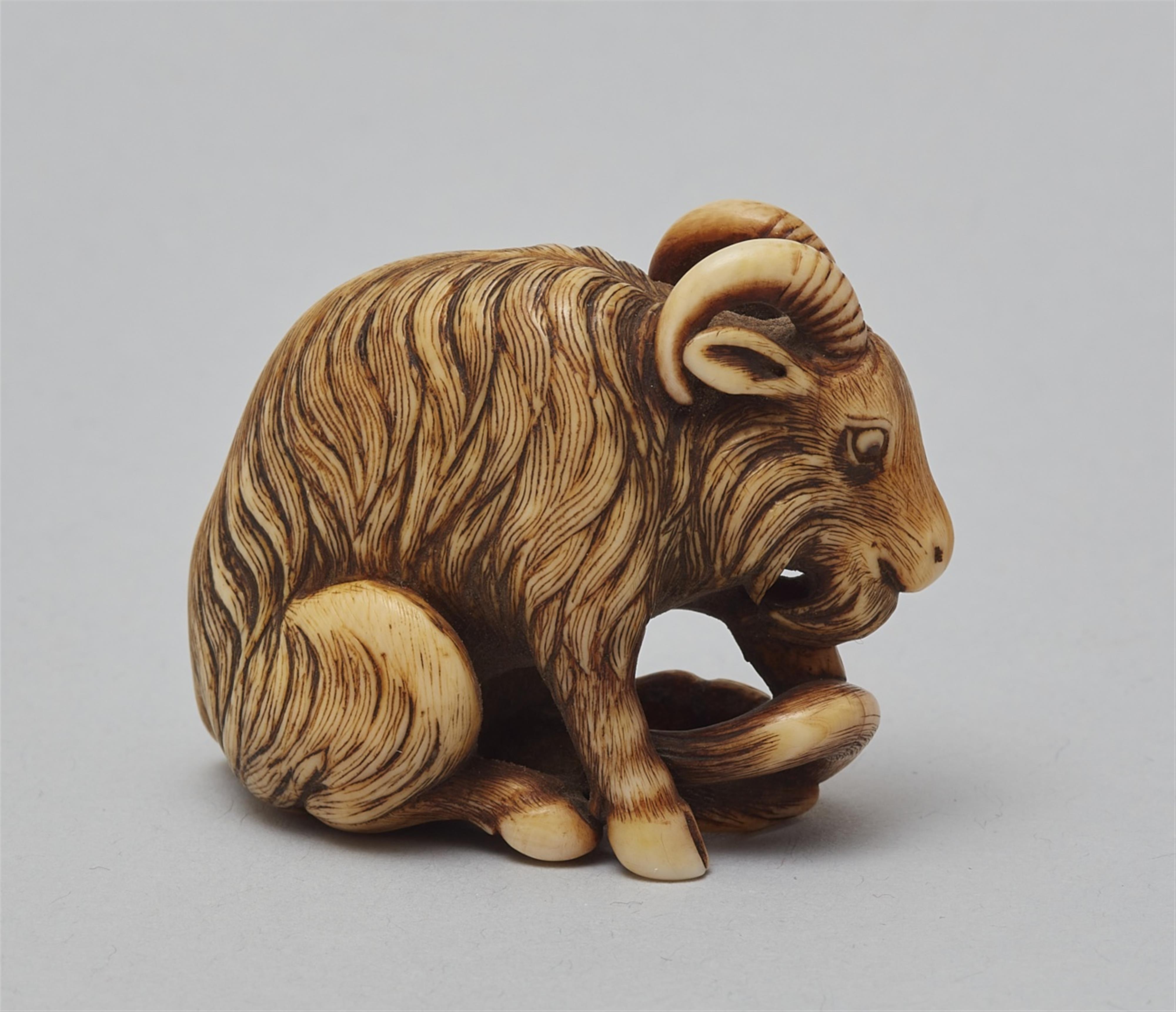 An ivory netsuke of a long-haired goat, by Okakoto. Early 19th century - image-3
