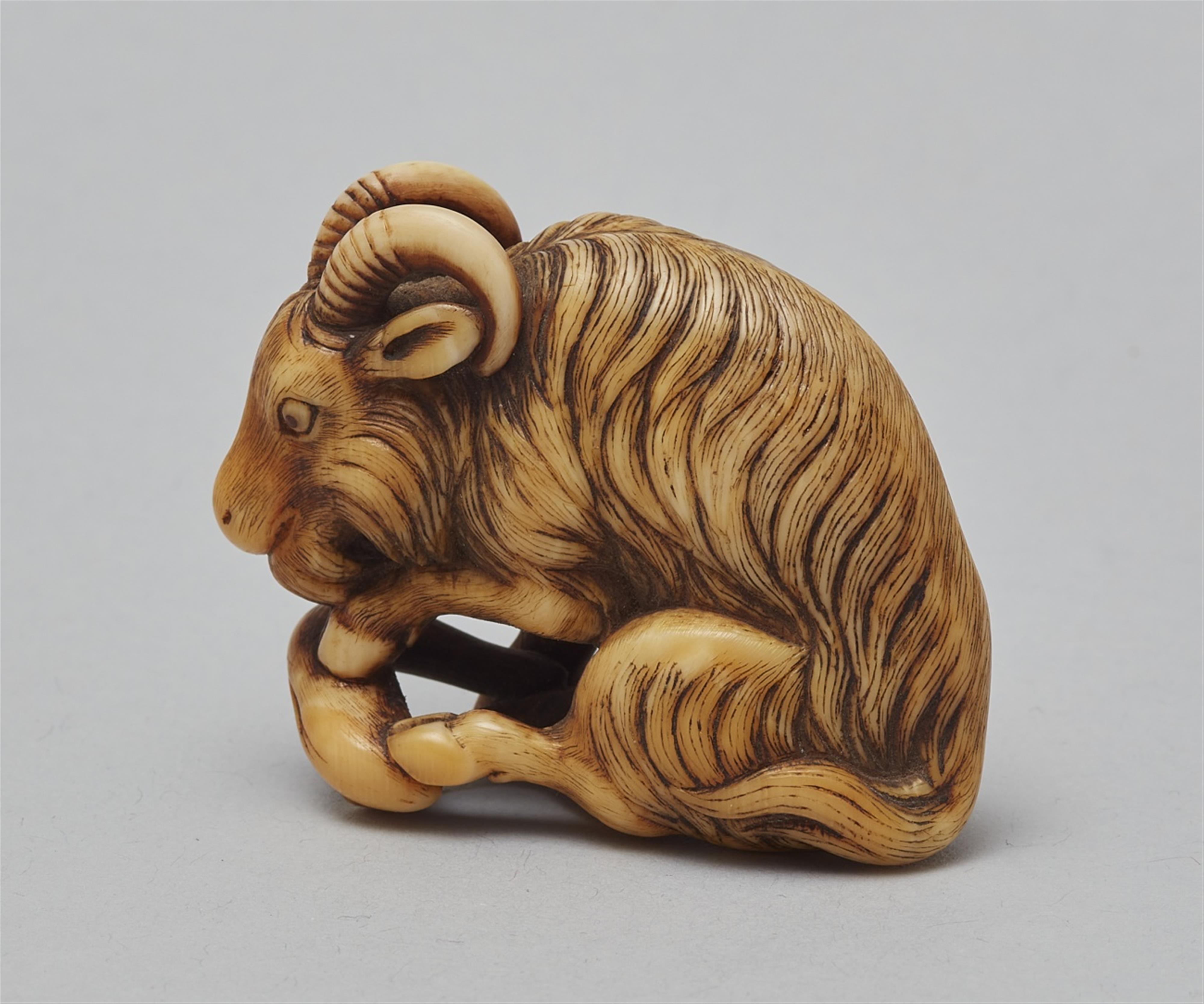 An ivory netsuke of a long-haired goat, by Okakoto. Early 19th century - image-5