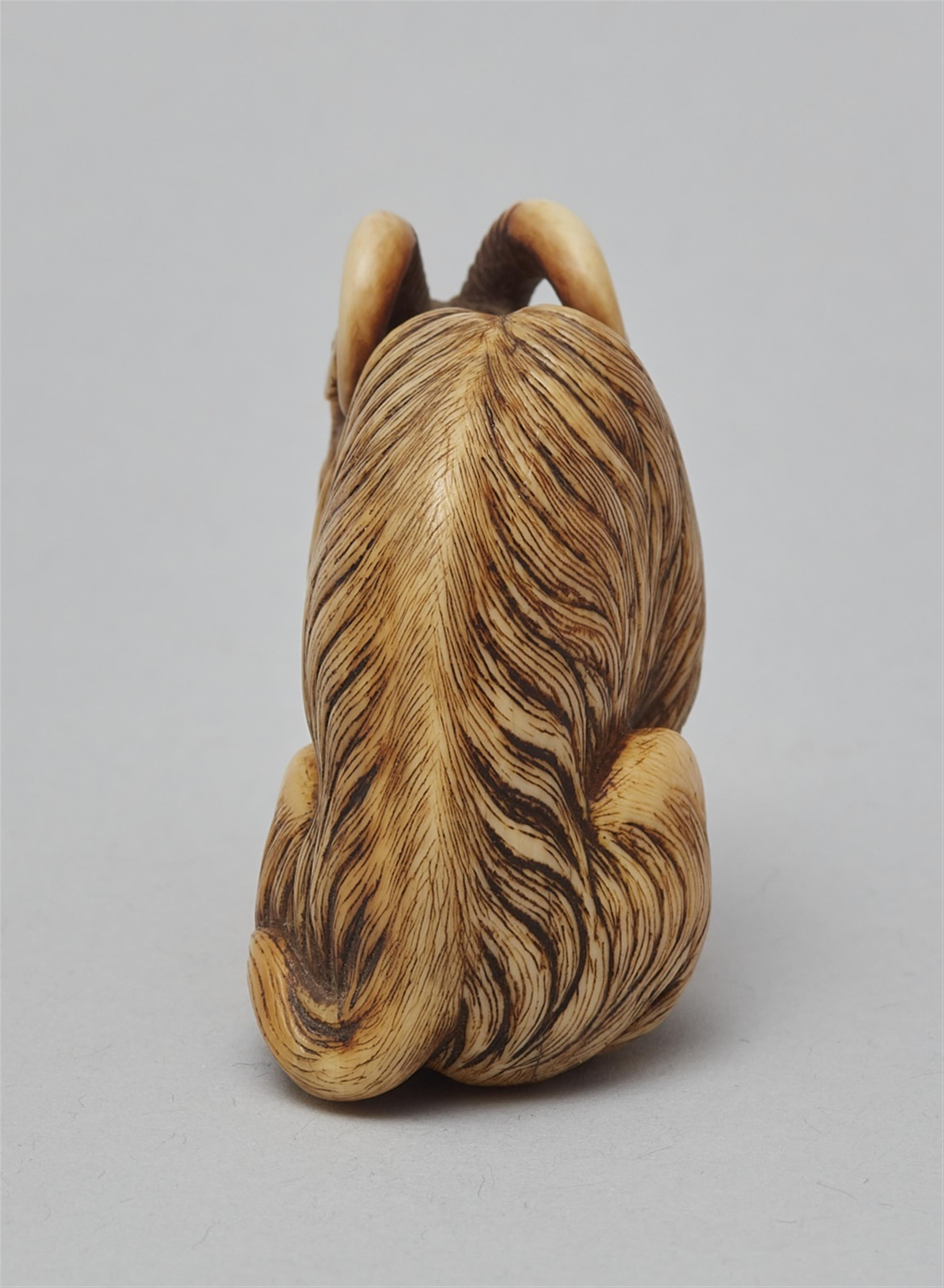 An ivory netsuke of a long-haired goat, by Okakoto. Early 19th century - image-6