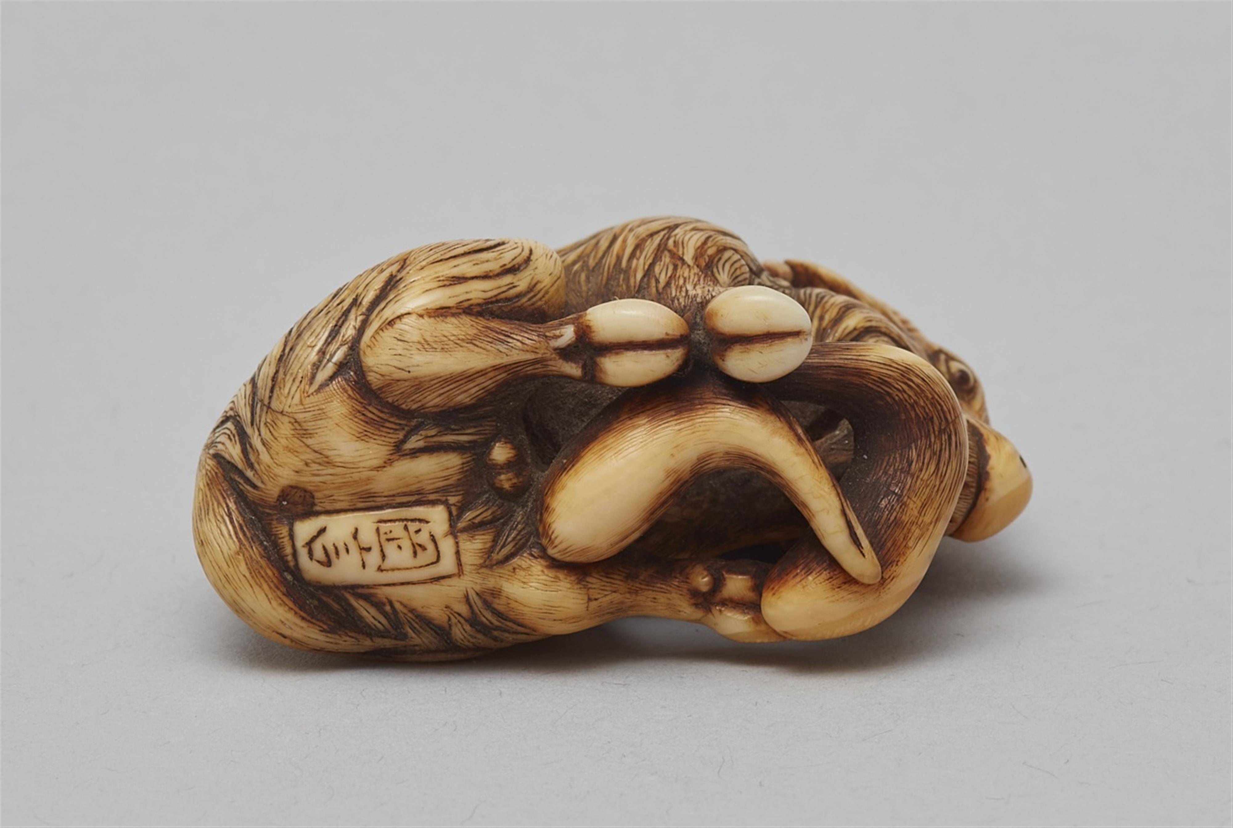 An ivory netsuke of a long-haired goat, by Okakoto. Early 19th century - image-7