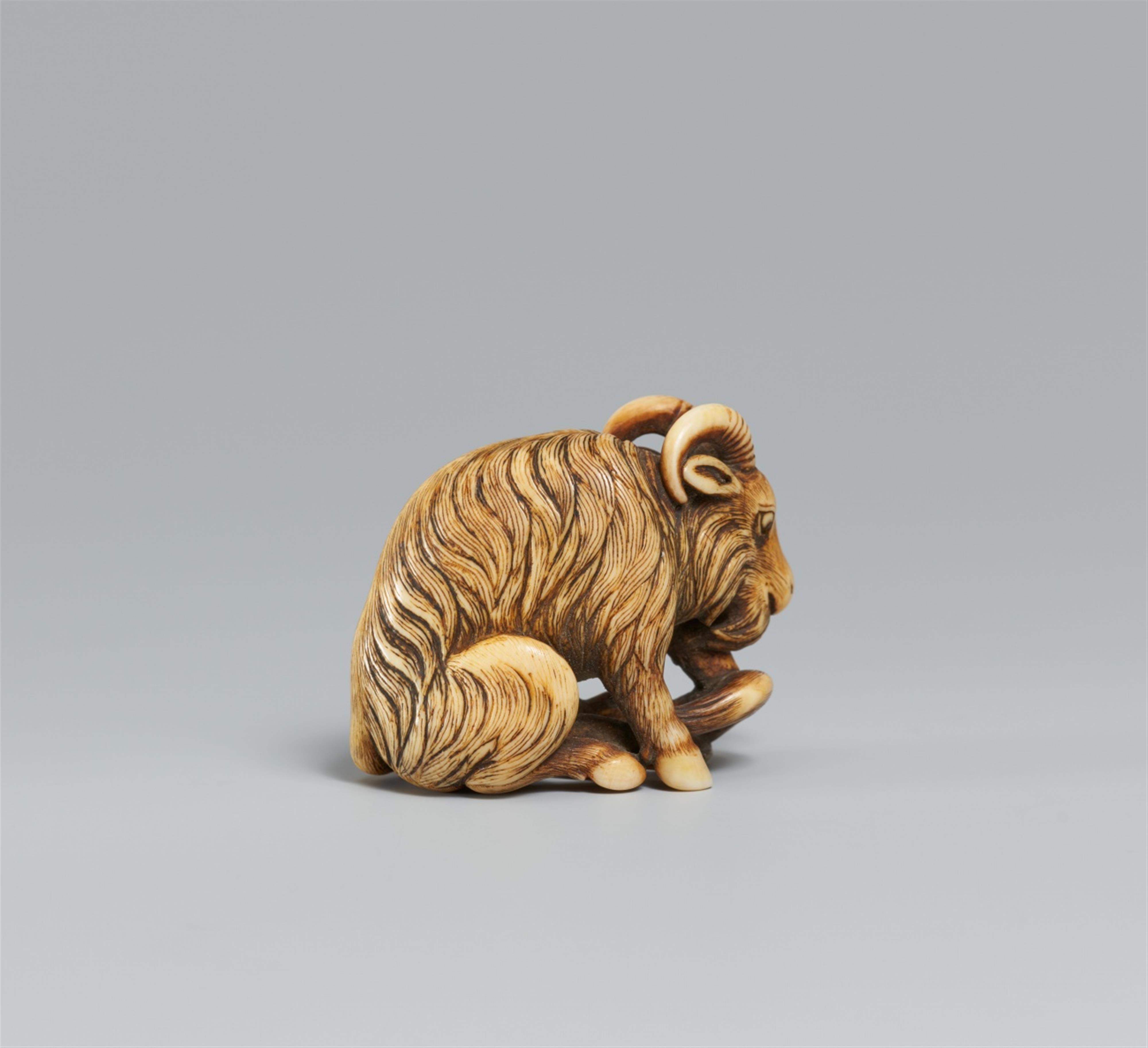 An ivory netsuke of a long-haired goat, by Okakoto. Early 19th century - image-8