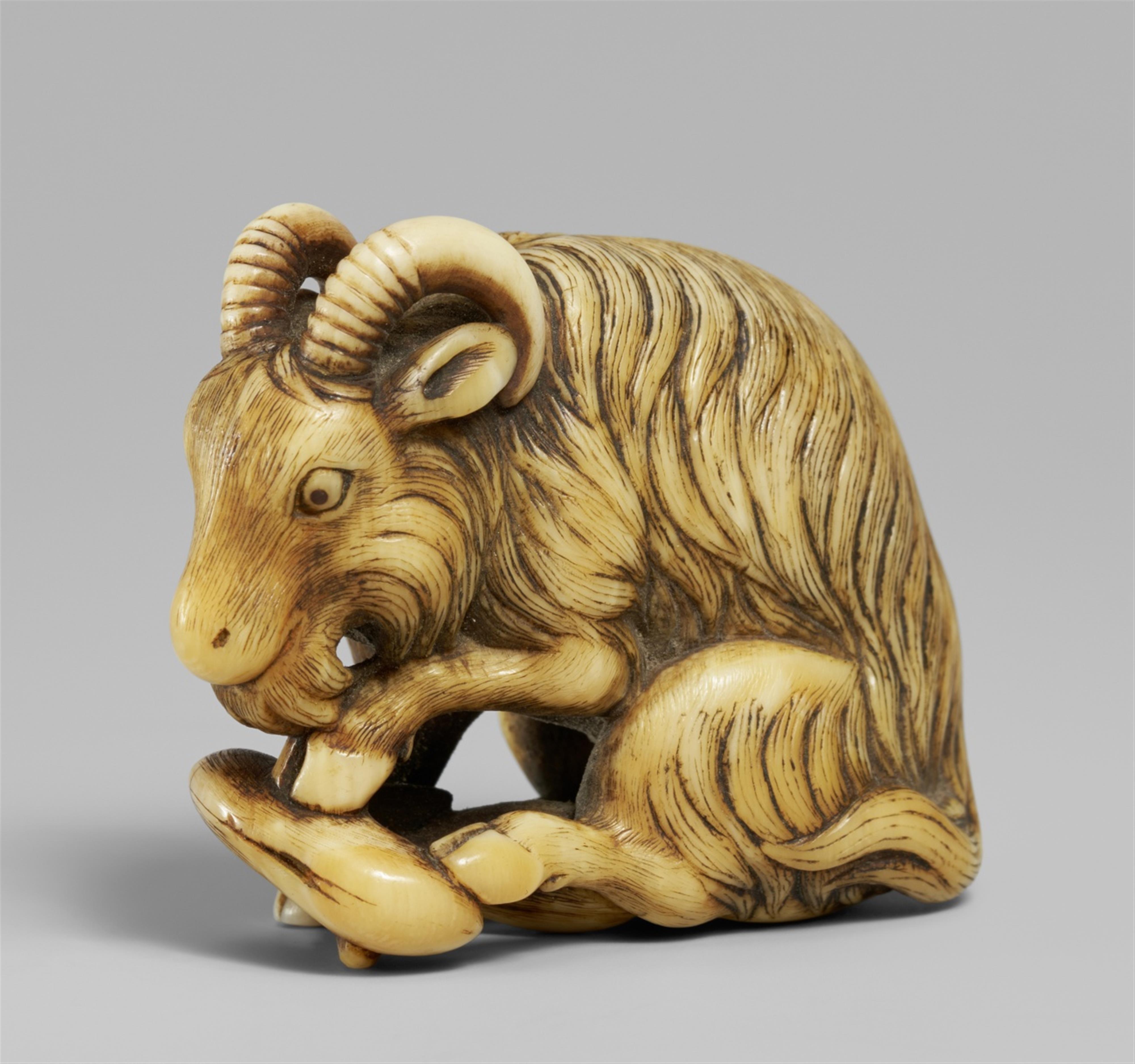 An ivory netsuke of a long-haired goat, by Okakoto. Early 19th century - image-1