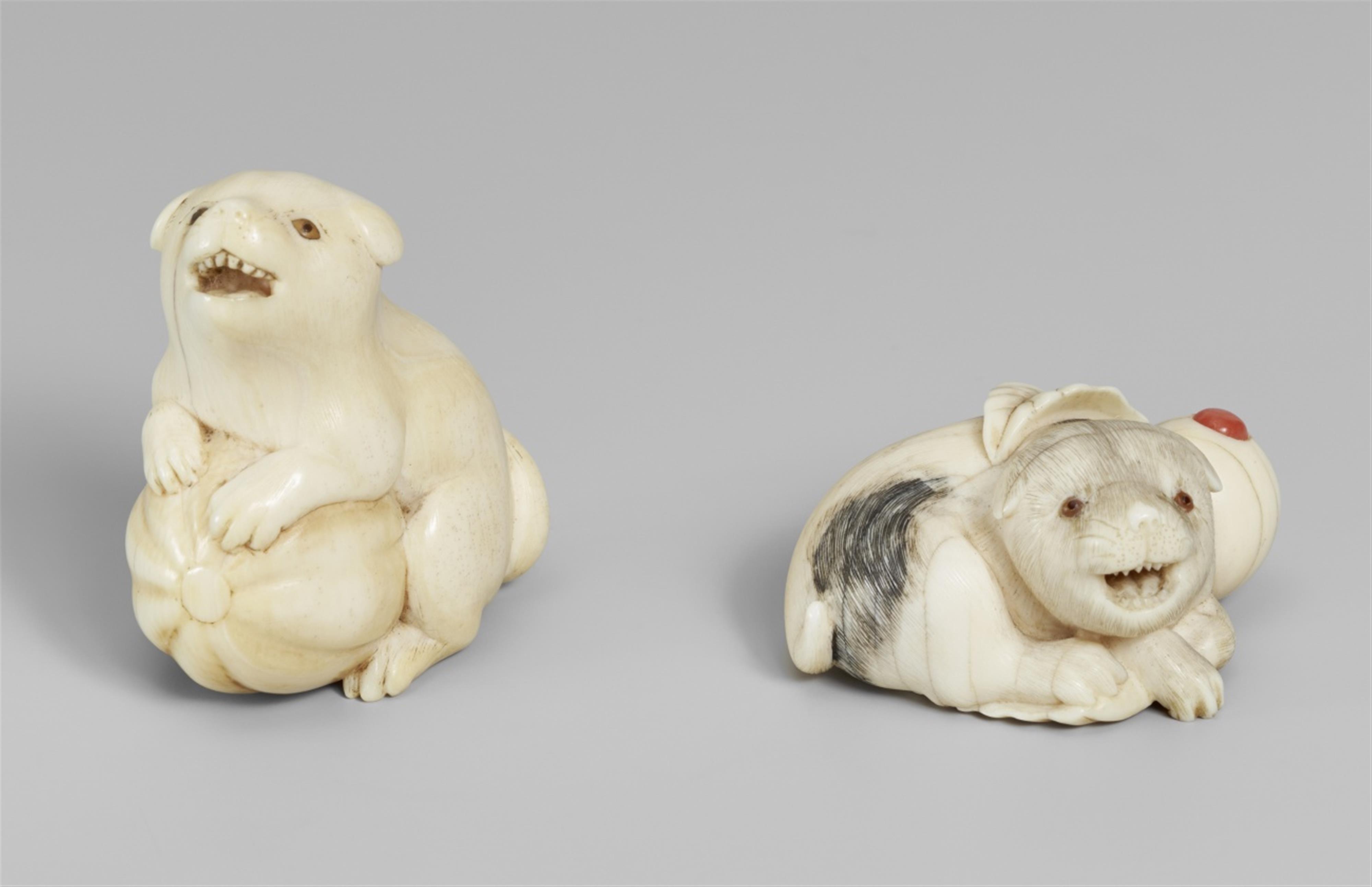 Two ivory netsuke of puppies. First half 19thn century - image-1
