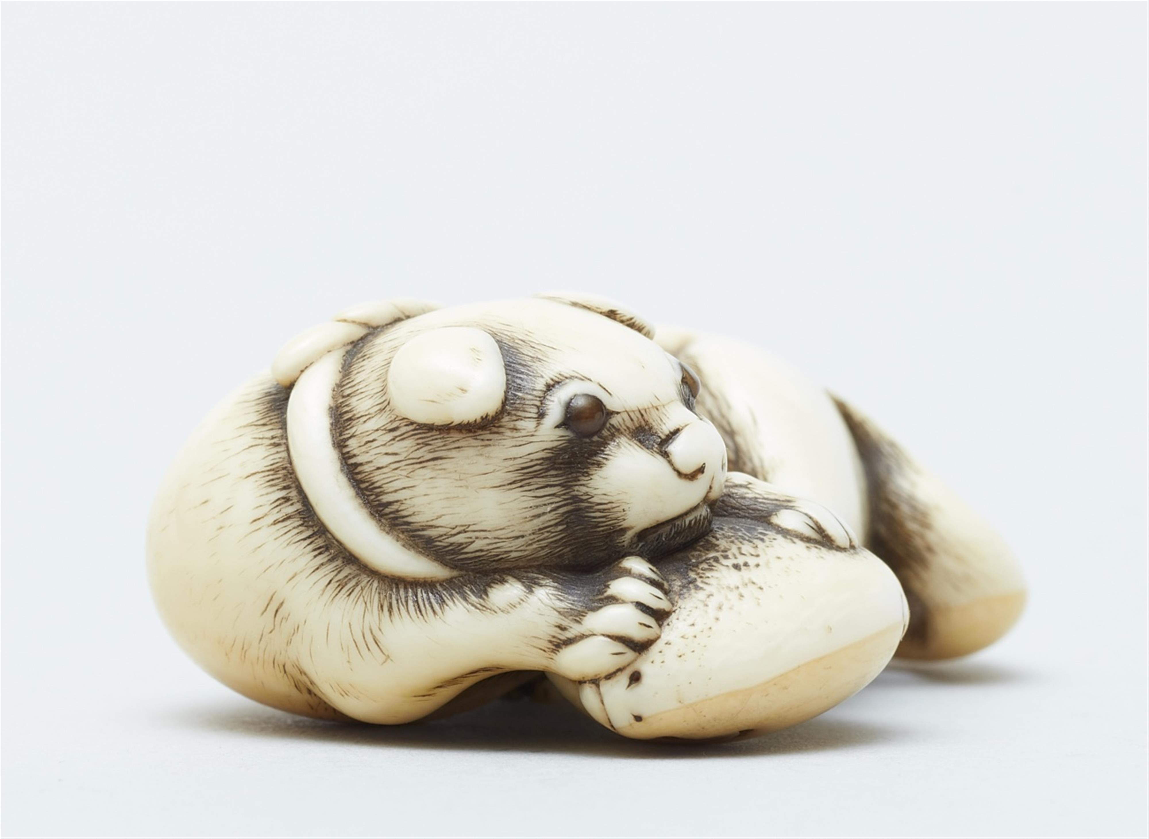 An ivory netsuke of a dog with a blow fish. Early 19th century - image-3