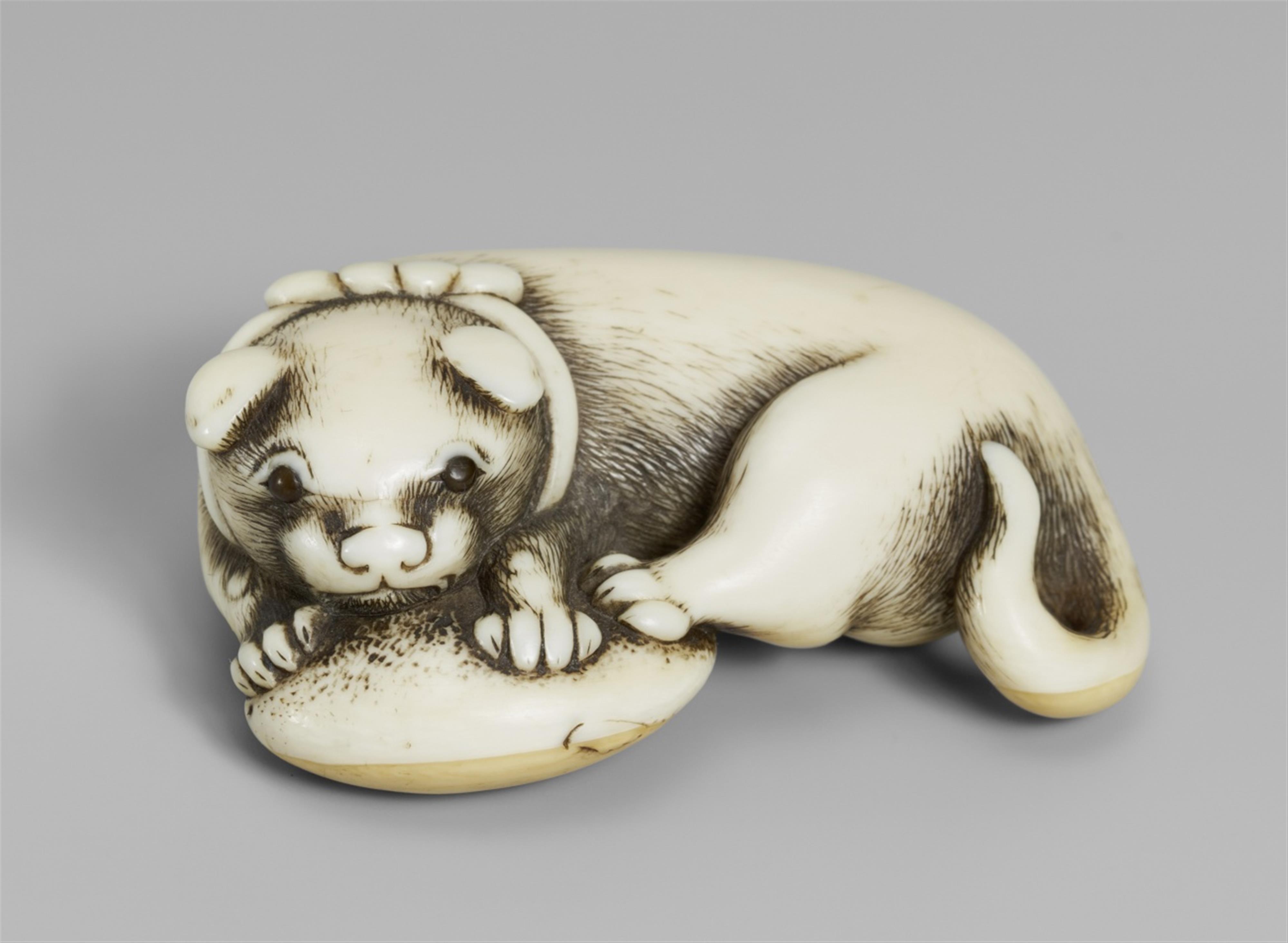 An ivory netsuke of a dog with a blow fish. Early 19th century - image-1