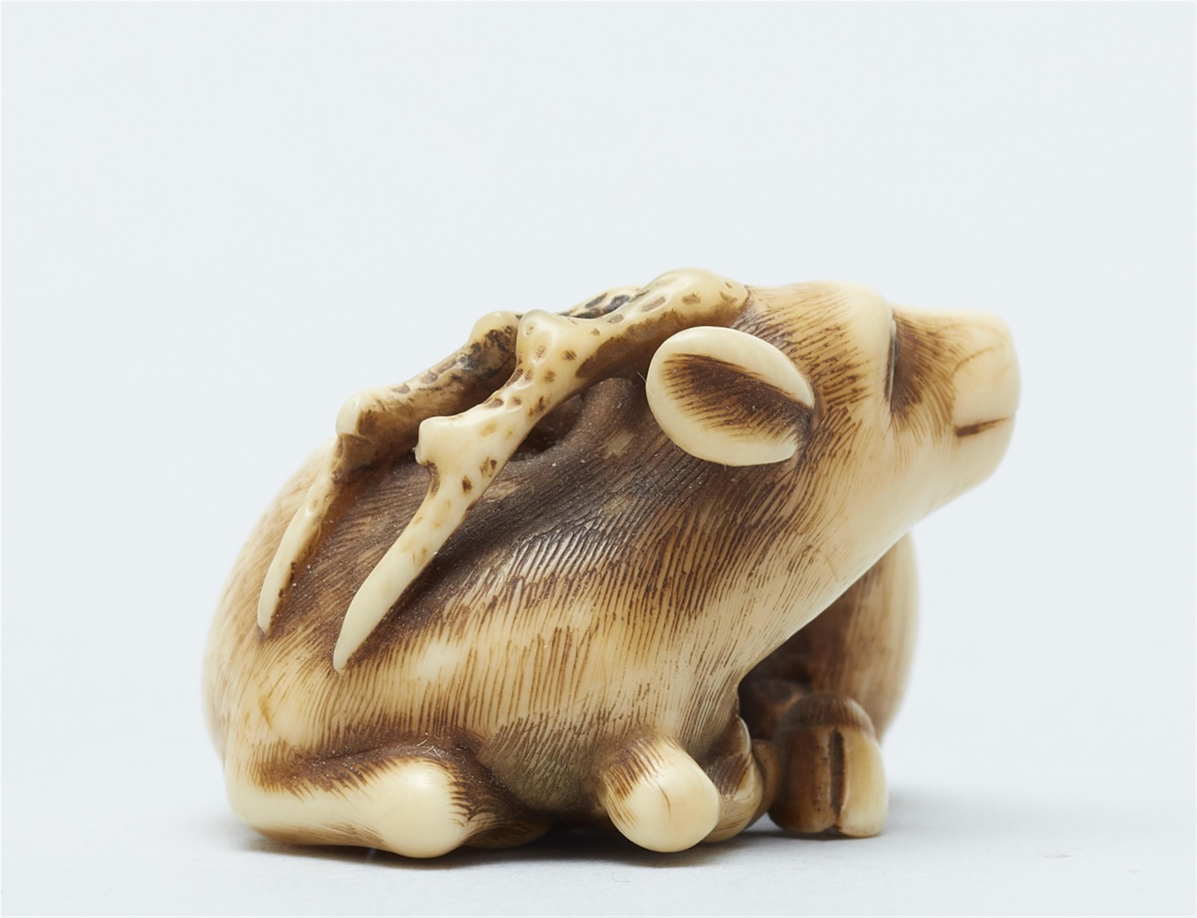 An ivory netsuke of a recumbent stag. Mid-19th century - image-3