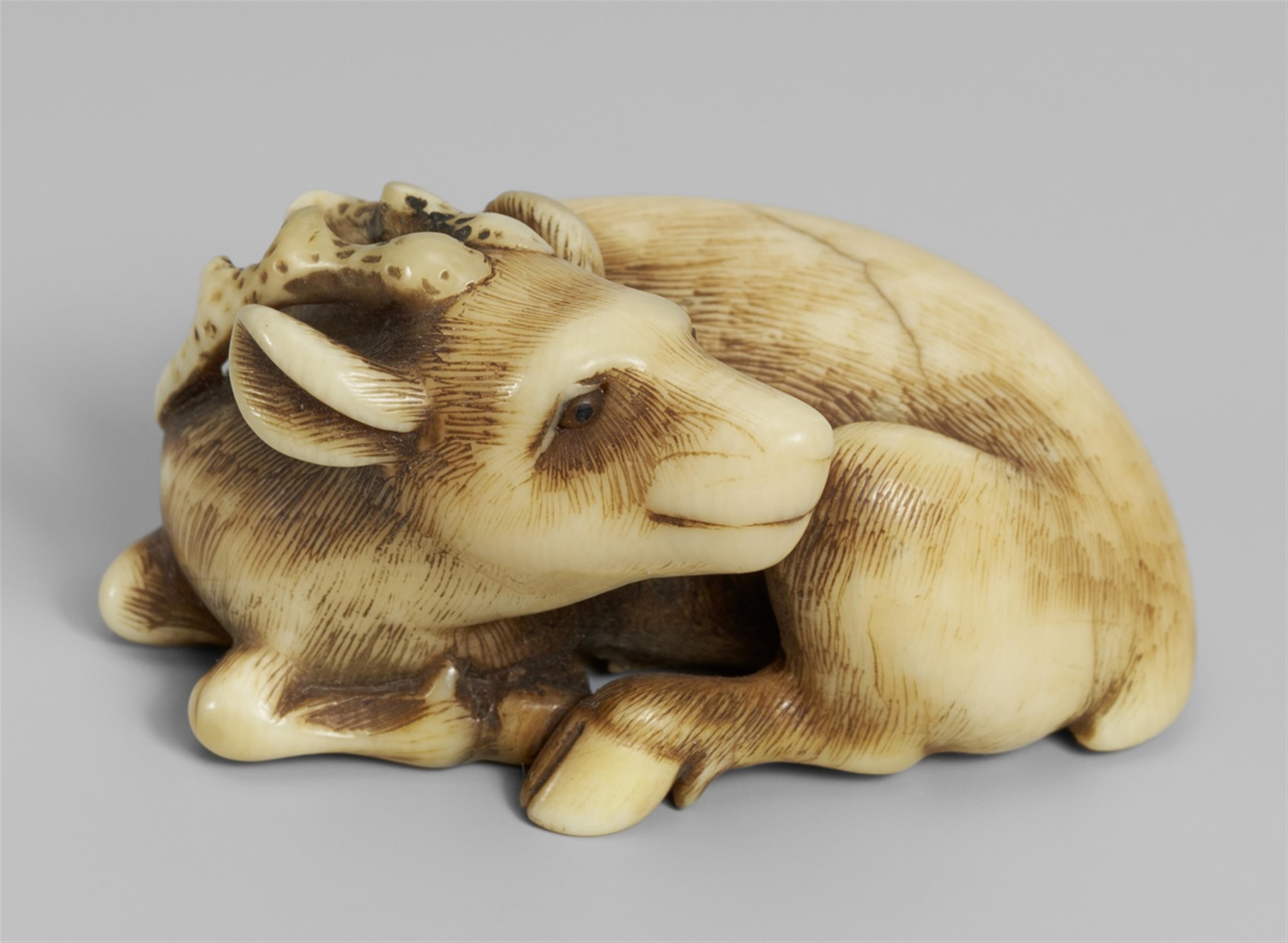 An ivory netsuke of a recumbent stag. Mid-19th century - image-1
