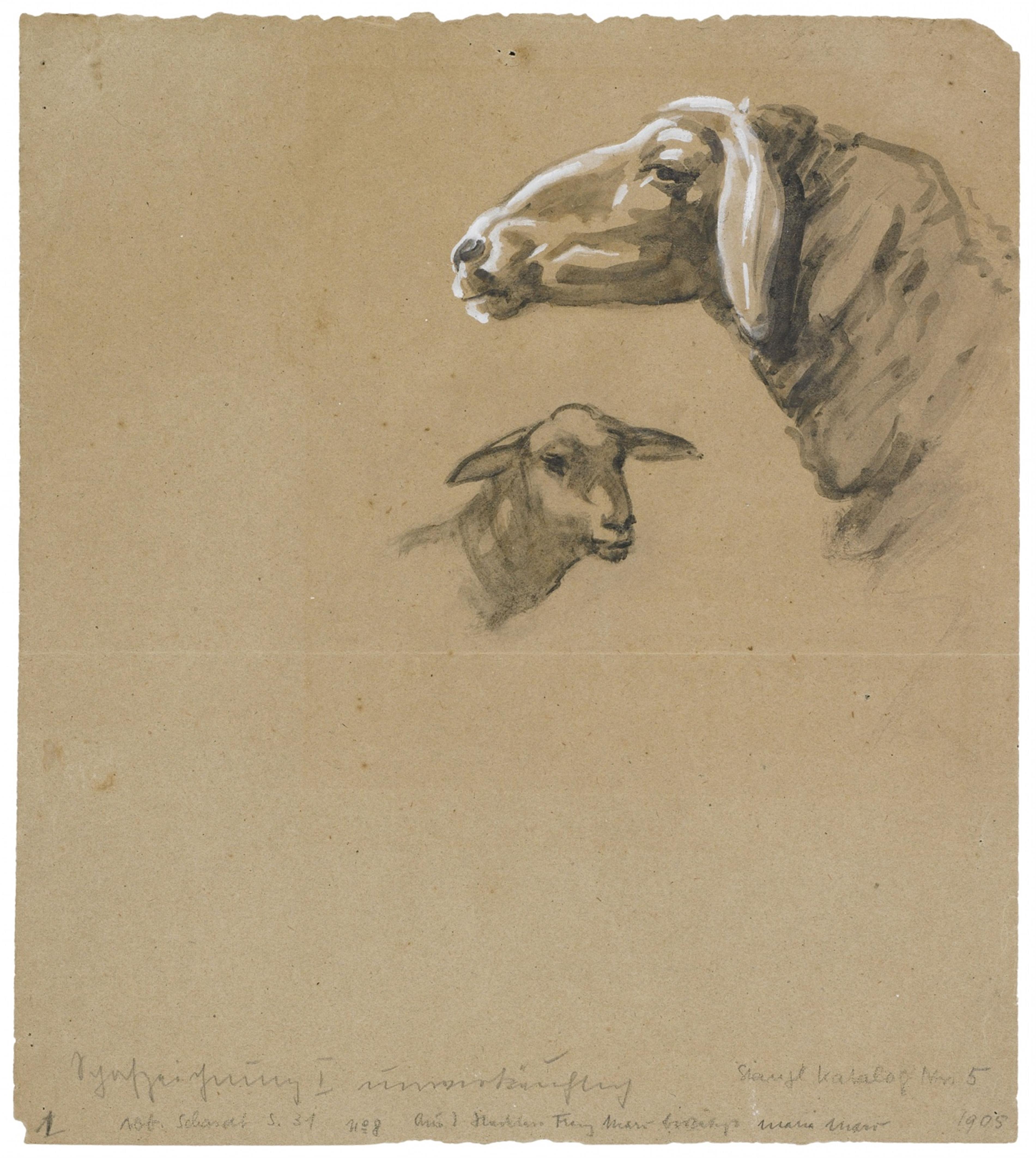Franz Marc - Schafzeichnung I. Verso: Schaf und grosses Schema eines Kuhkopfes - image-1