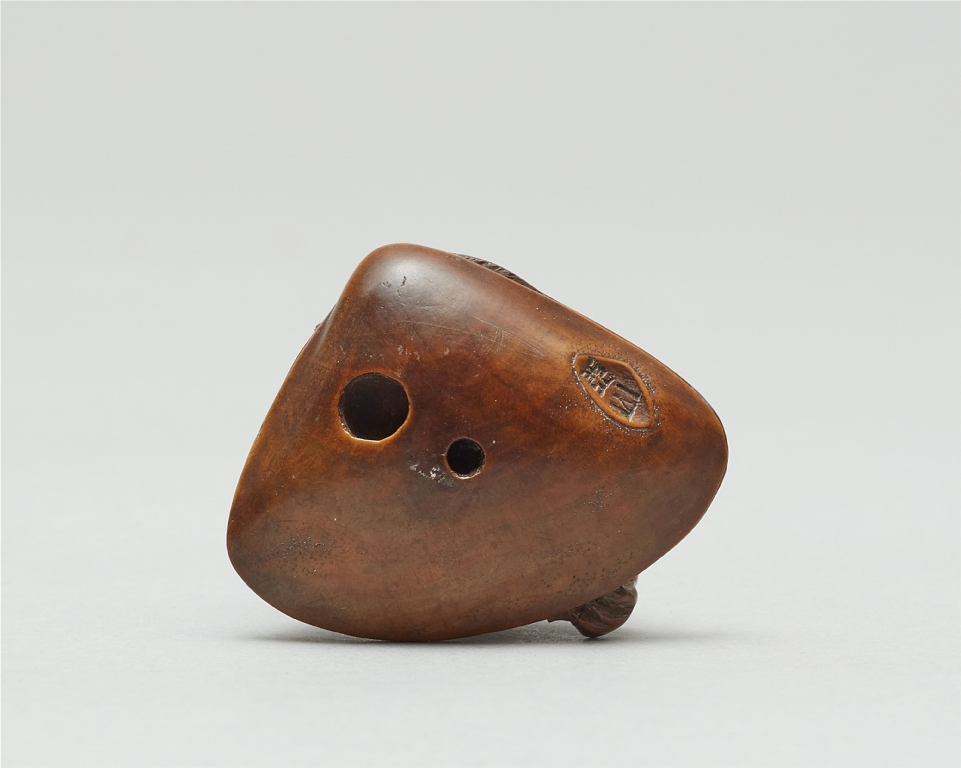 A boxwood netsuke of a kappa on a shell. Late 19th century - image-5