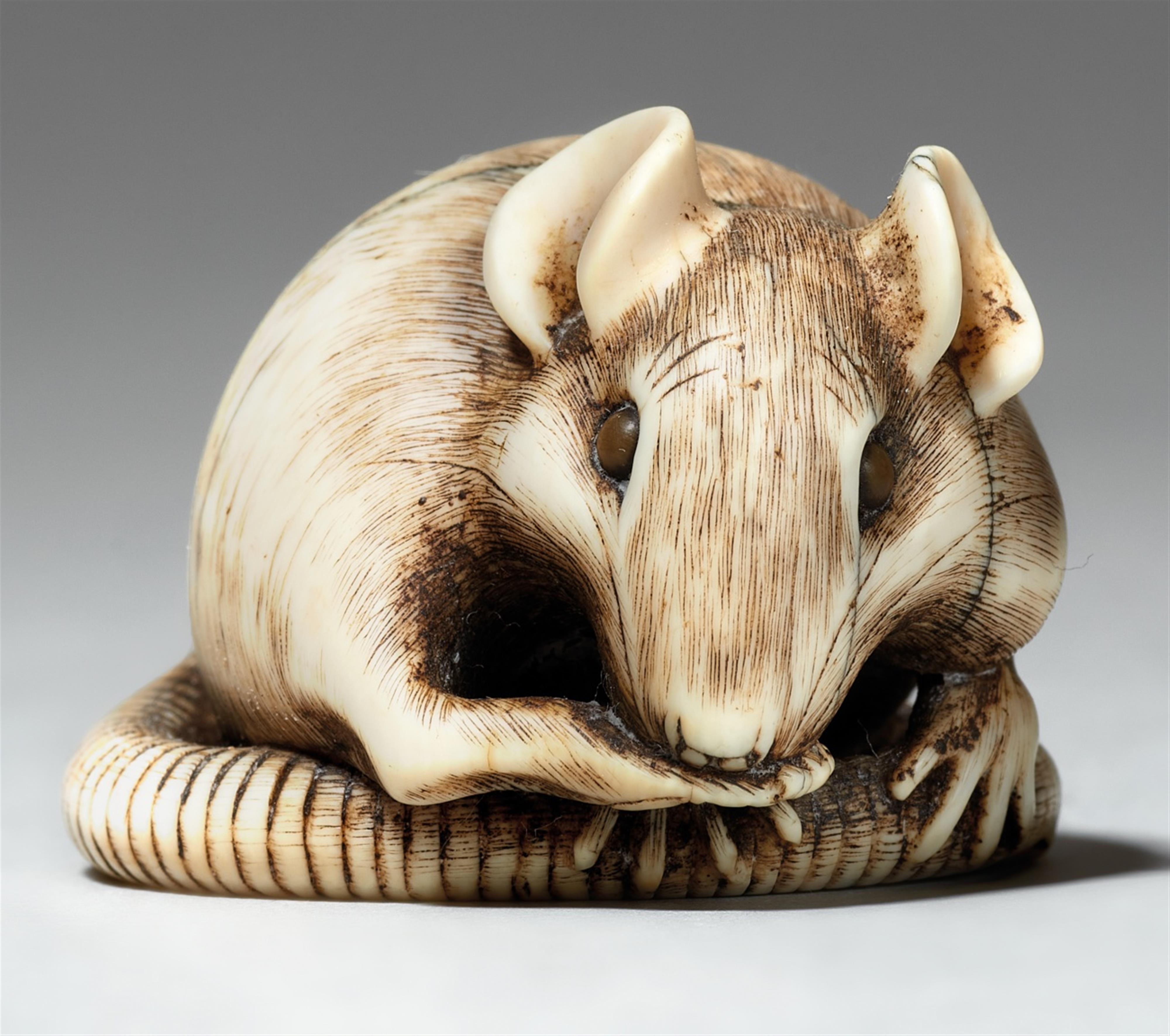An ivory netsuke of a rat. Mid-19th century - image-1