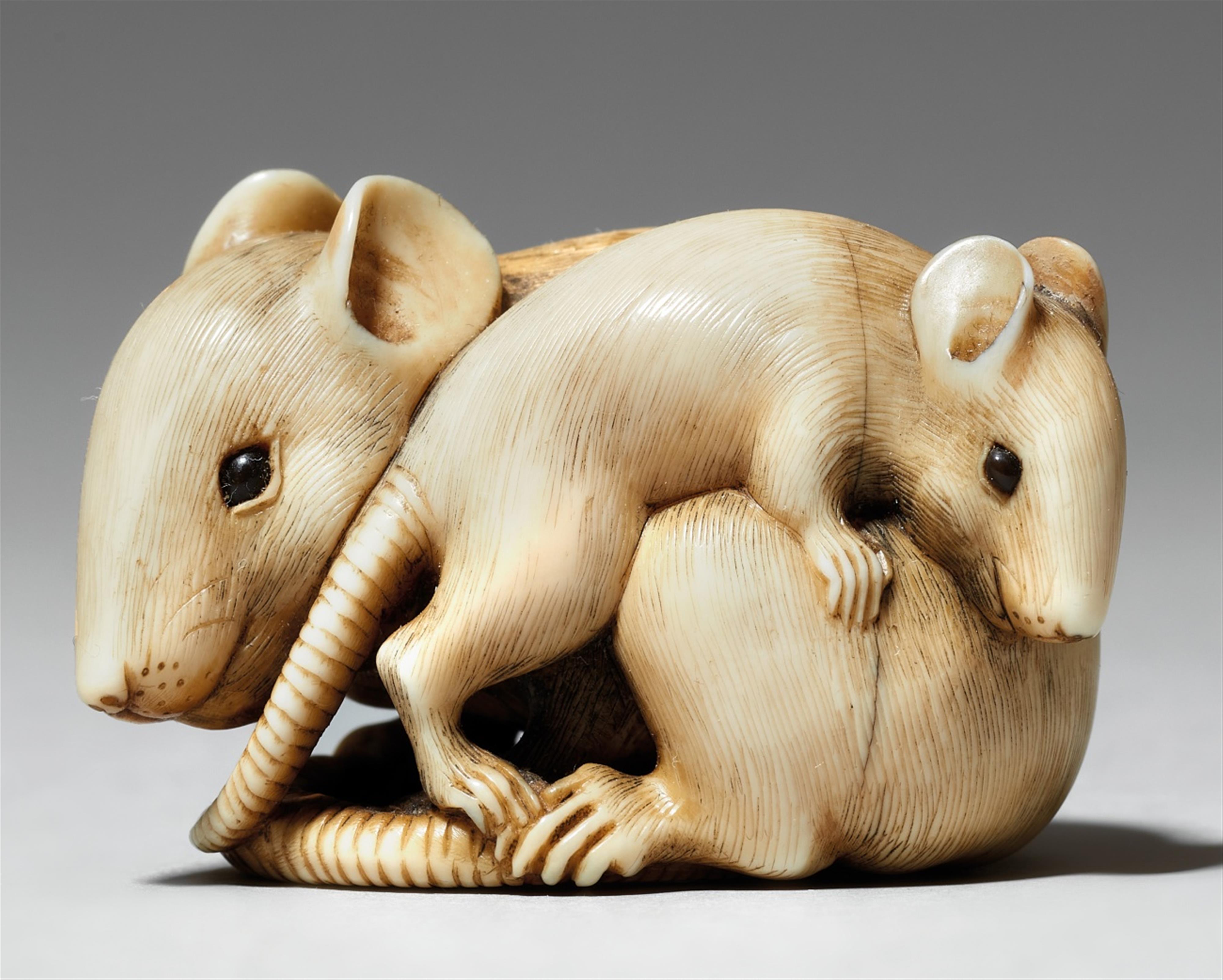 An ivory netsuke of two rats. 19th century - image-1
